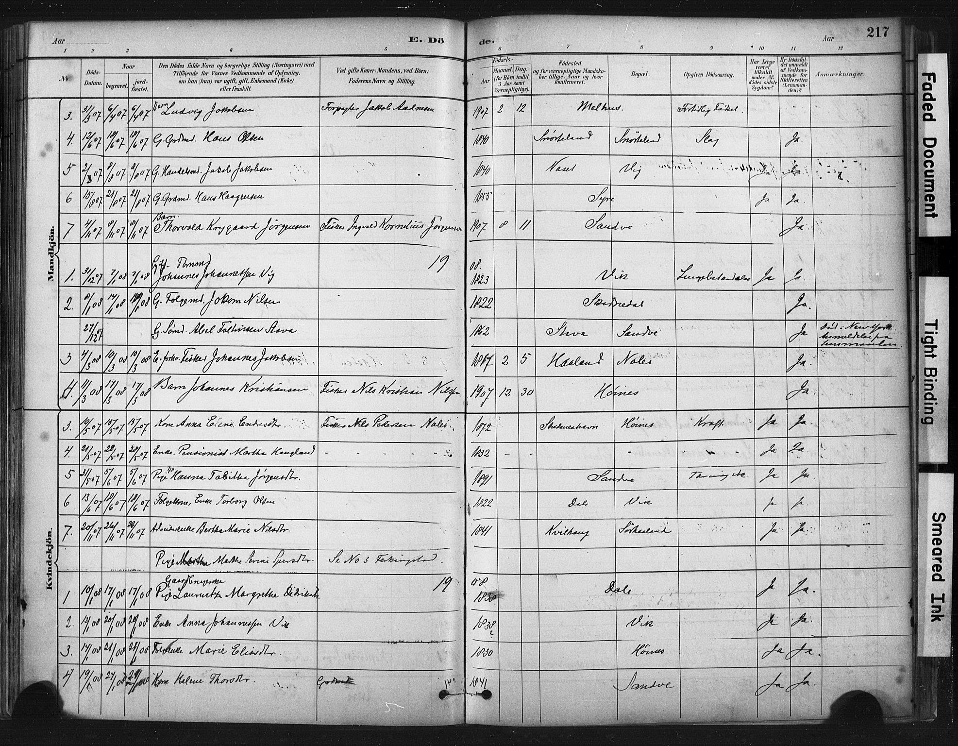 Skudenes sokneprestkontor, SAST/A -101849/H/Ha/Haa/L0009: Parish register (official) no. A 6, 1882-1912, p. 217