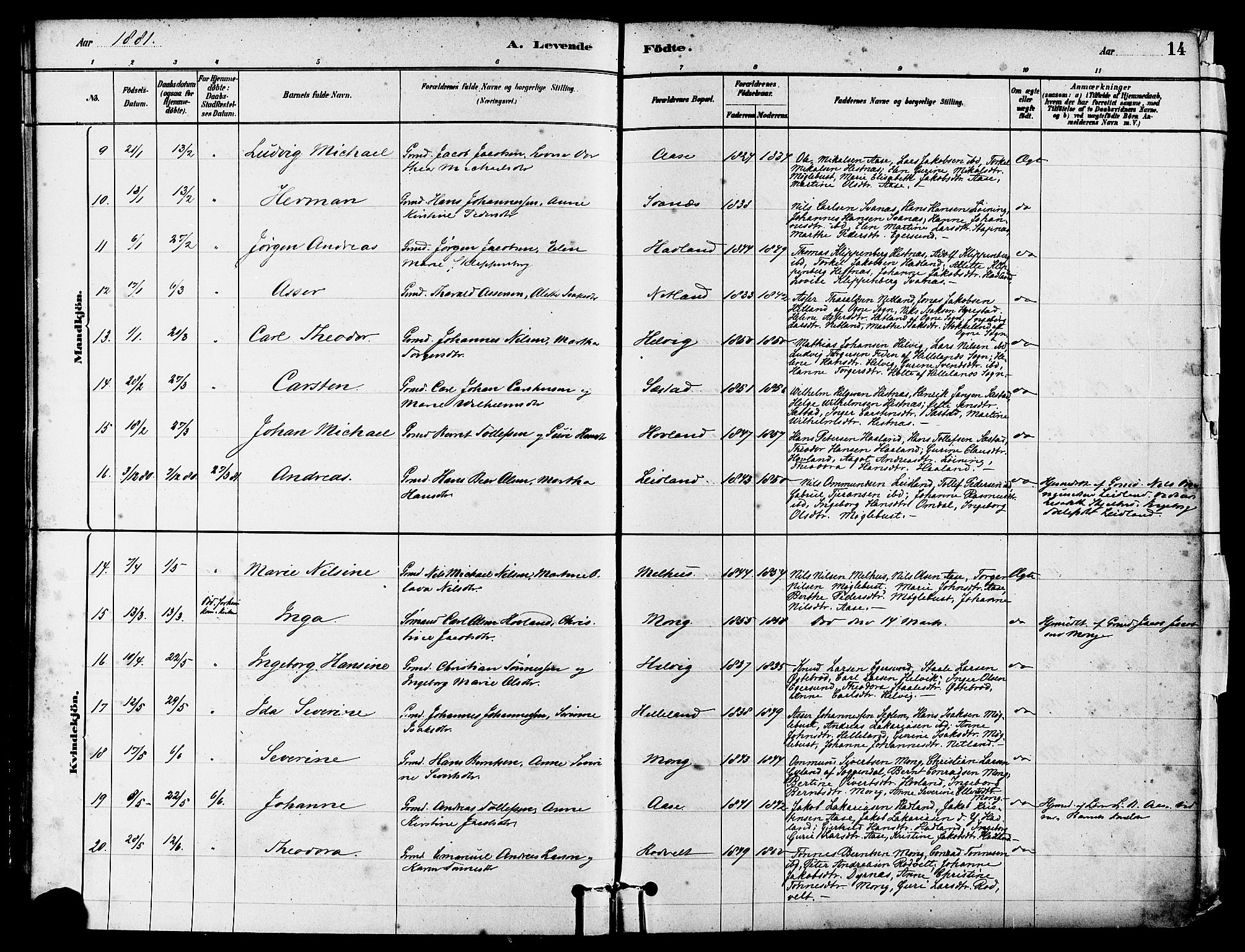 Eigersund sokneprestkontor, AV/SAST-A-101807/S08/L0017: Parish register (official) no. A 14, 1879-1892, p. 14