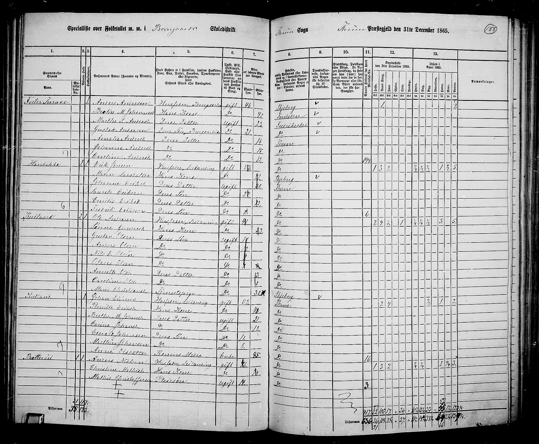 RA, 1865 census for Tune, 1865, p. 173