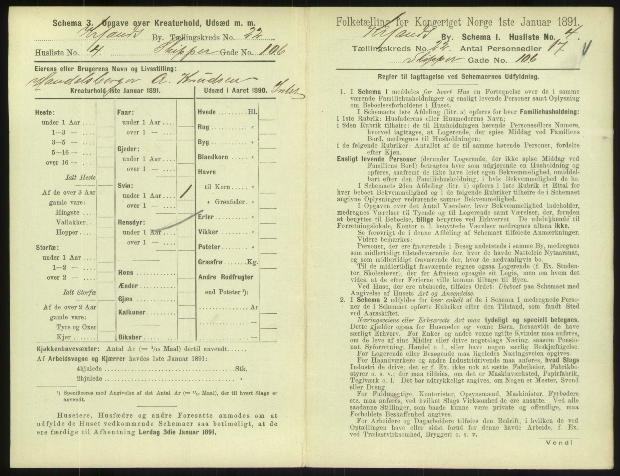 RA, 1891 census for 1001 Kristiansand, 1891, p. 1302