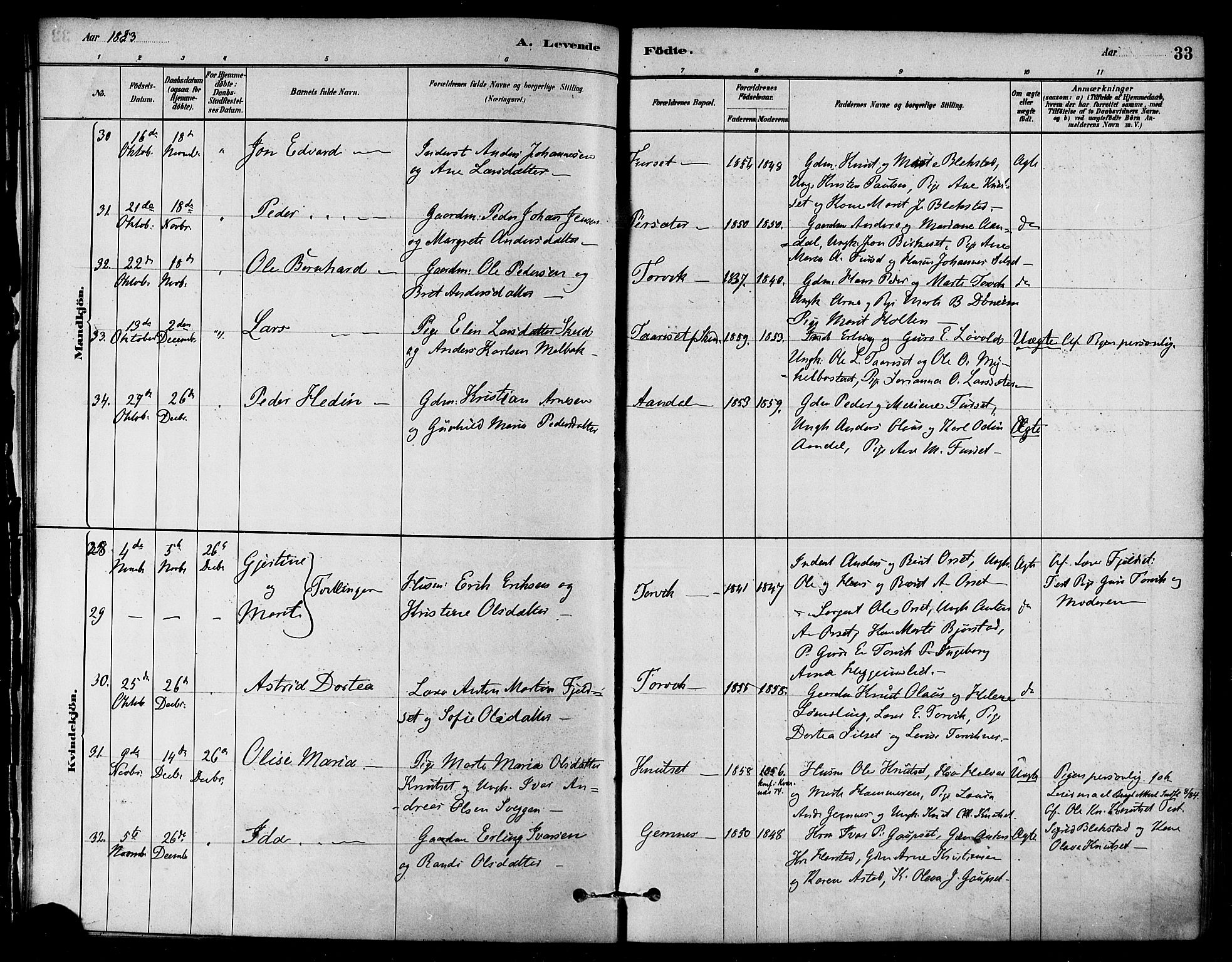 Ministerialprotokoller, klokkerbøker og fødselsregistre - Møre og Romsdal, AV/SAT-A-1454/584/L0967: Parish register (official) no. 584A07, 1879-1894, p. 33