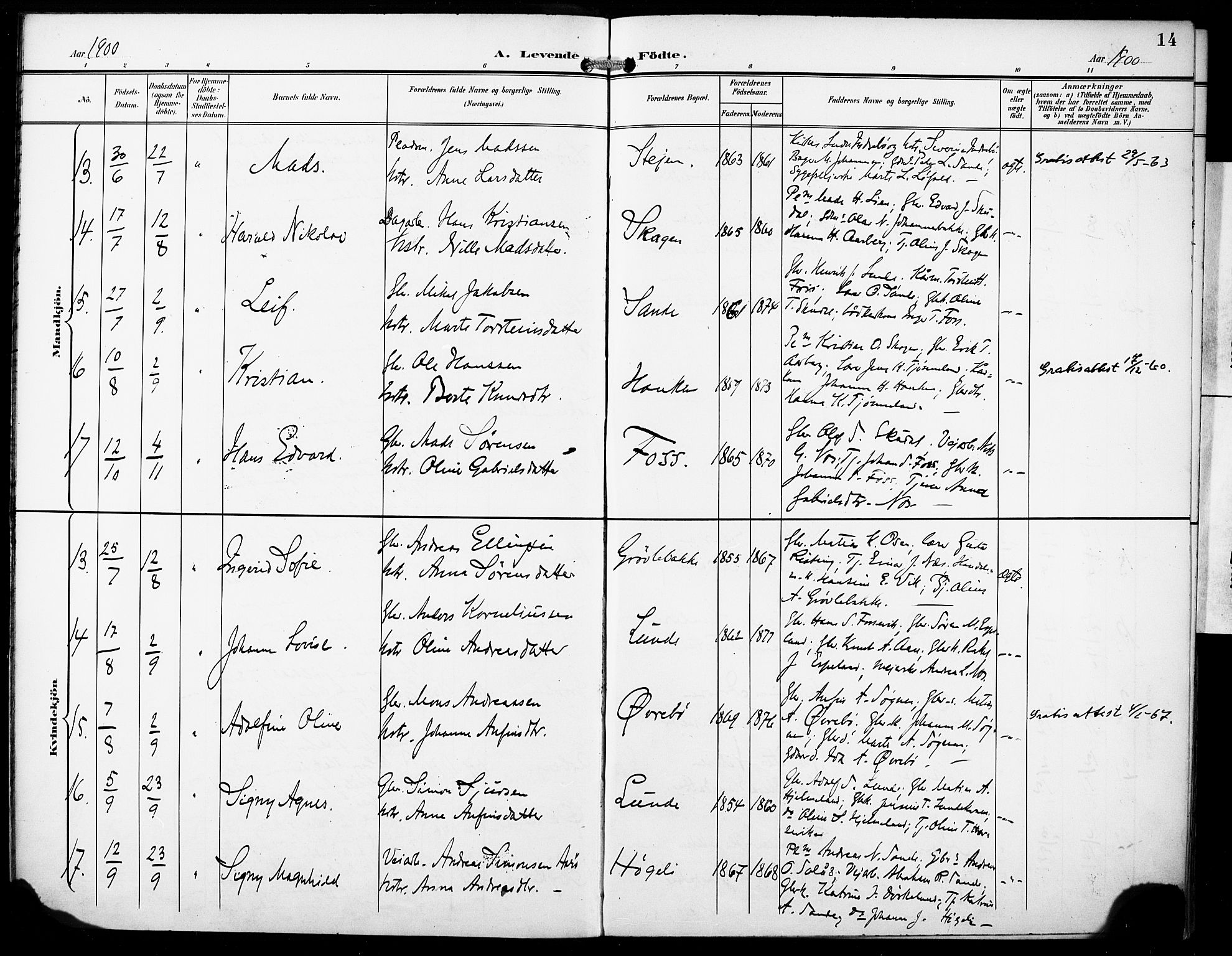 Gaular sokneprestembete, SAB/A-80001/H/Haa: Parish register (official) no. B 2, 1898-1911, p. 14