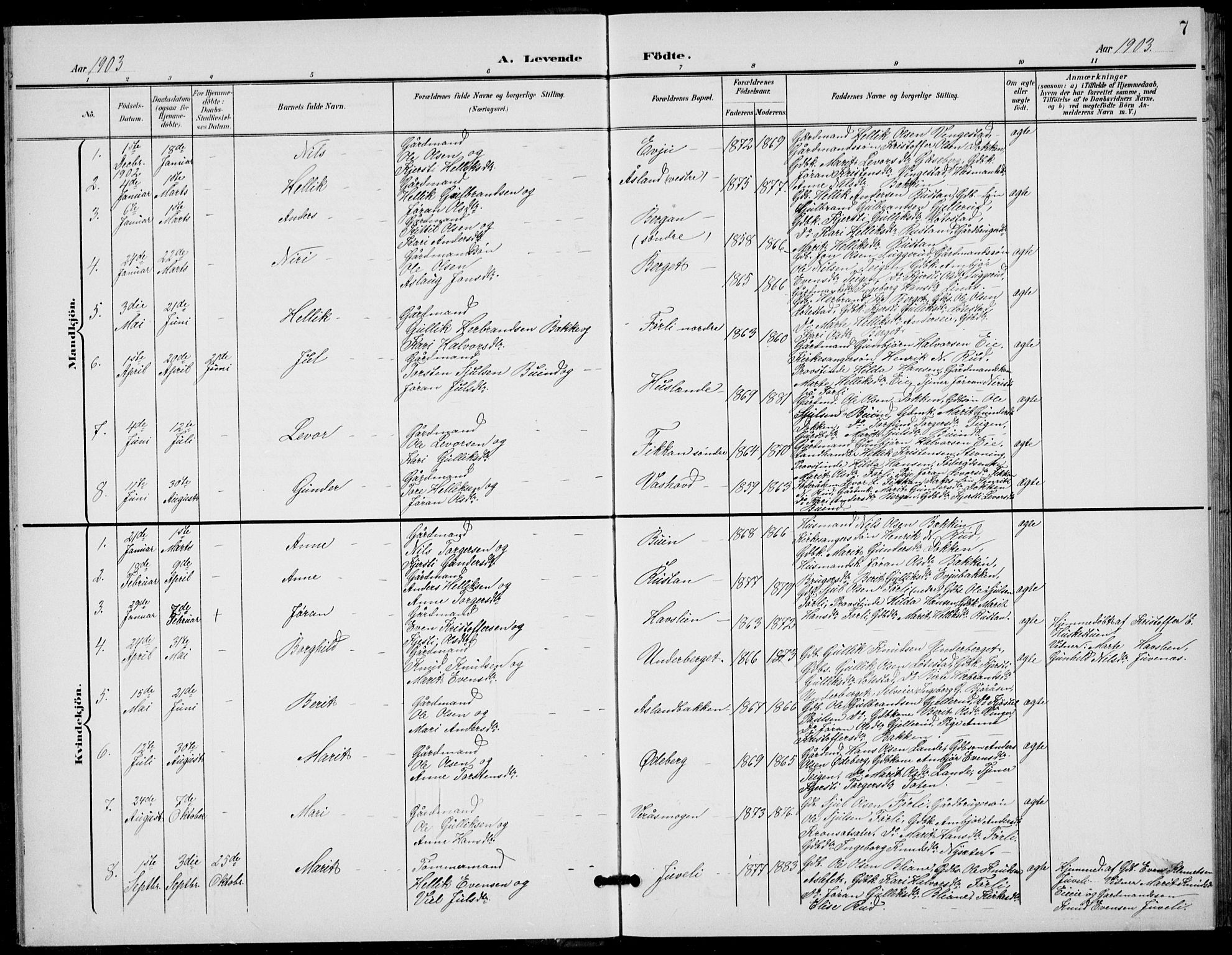 Flesberg kirkebøker, SAKO/A-18/G/Ga/L0005: Parish register (copy) no. I 5, 1899-1908, p. 7