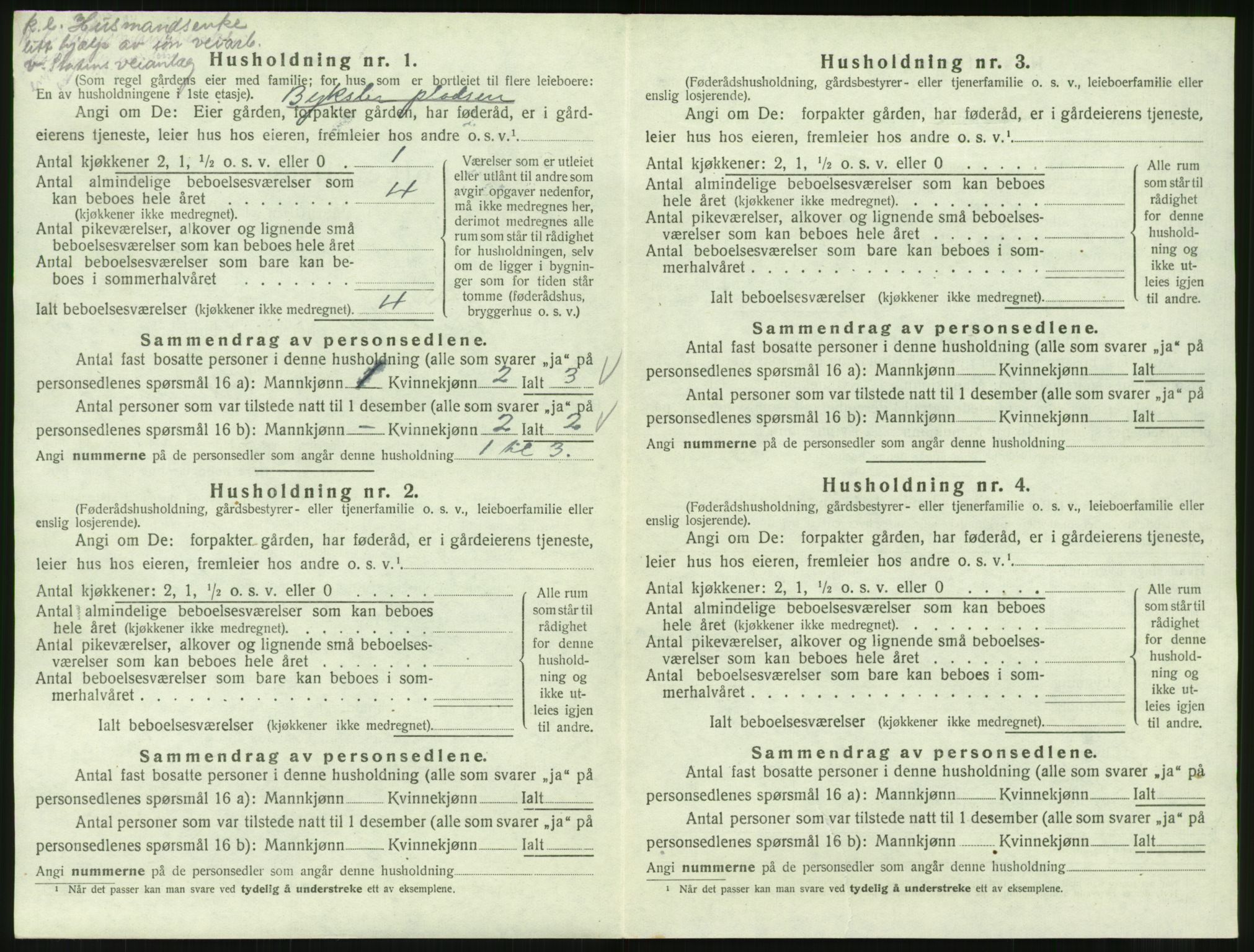 SAT, 1920 census for Straumsnes, 1920, p. 480