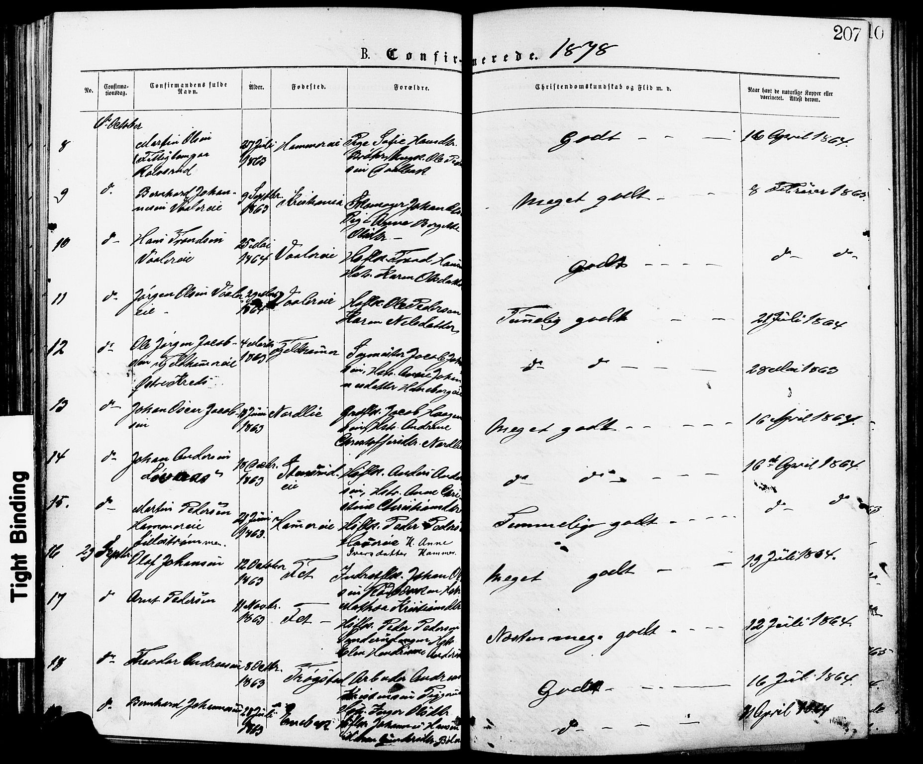 Skedsmo prestekontor Kirkebøker, AV/SAO-A-10033a/F/Fa/L0012: Parish register (official) no. I 12, 1876-1883, p. 207