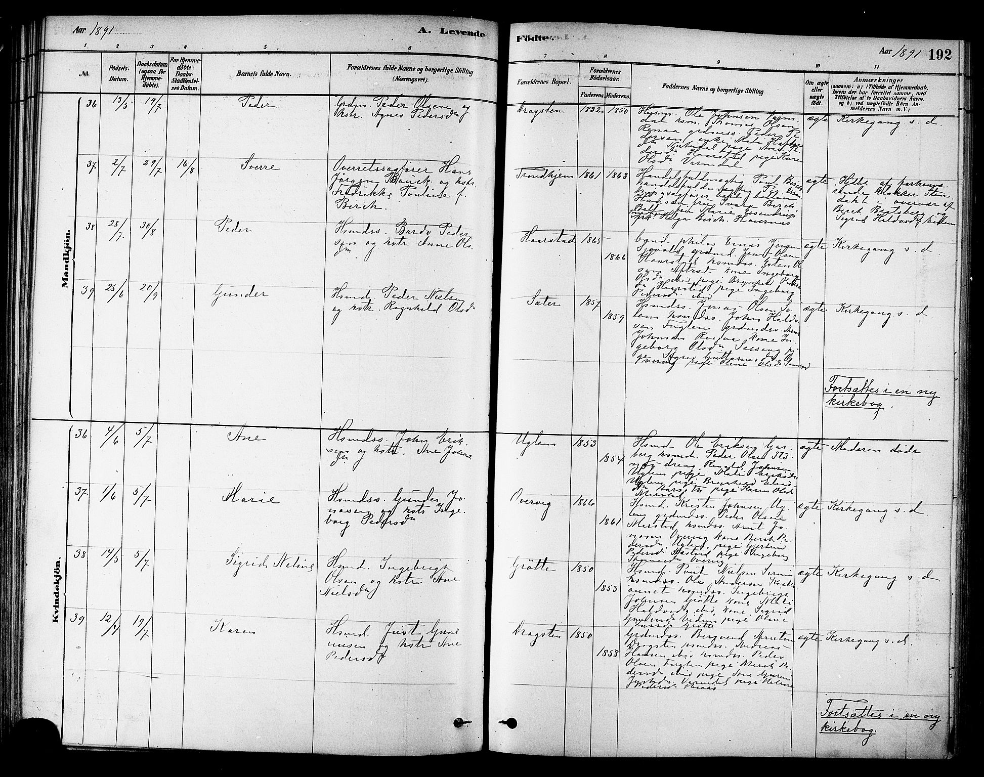 Ministerialprotokoller, klokkerbøker og fødselsregistre - Sør-Trøndelag, AV/SAT-A-1456/695/L1148: Parish register (official) no. 695A08, 1878-1891, p. 192