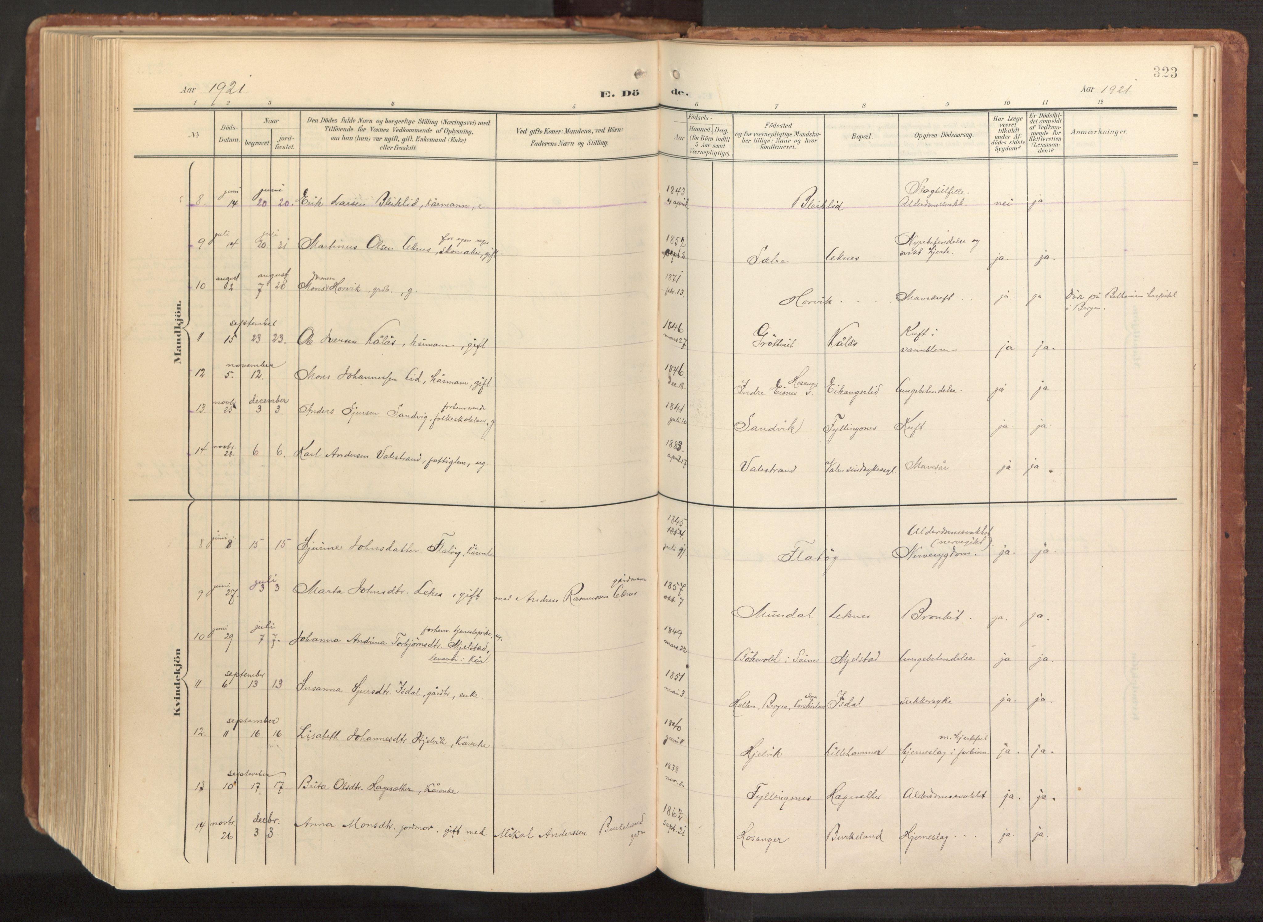 Hamre sokneprestembete, AV/SAB-A-75501/H/Ha/Haa/Haab/L0002: Parish register (official) no. B 2, 1905-1924, p. 323