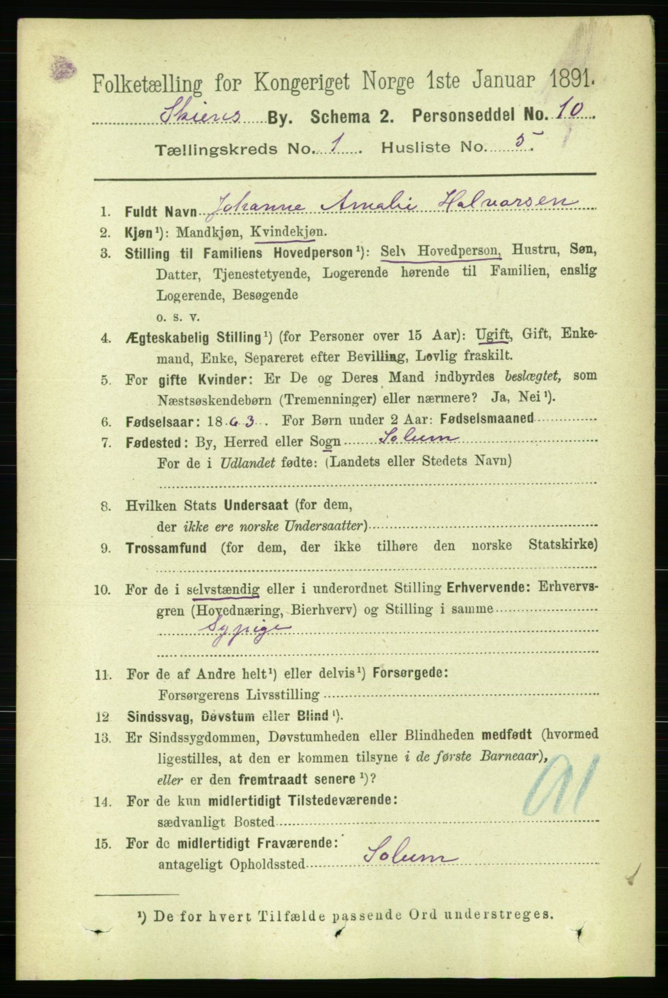 RA, 1891 census for 0806 Skien, 1891, p. 2202