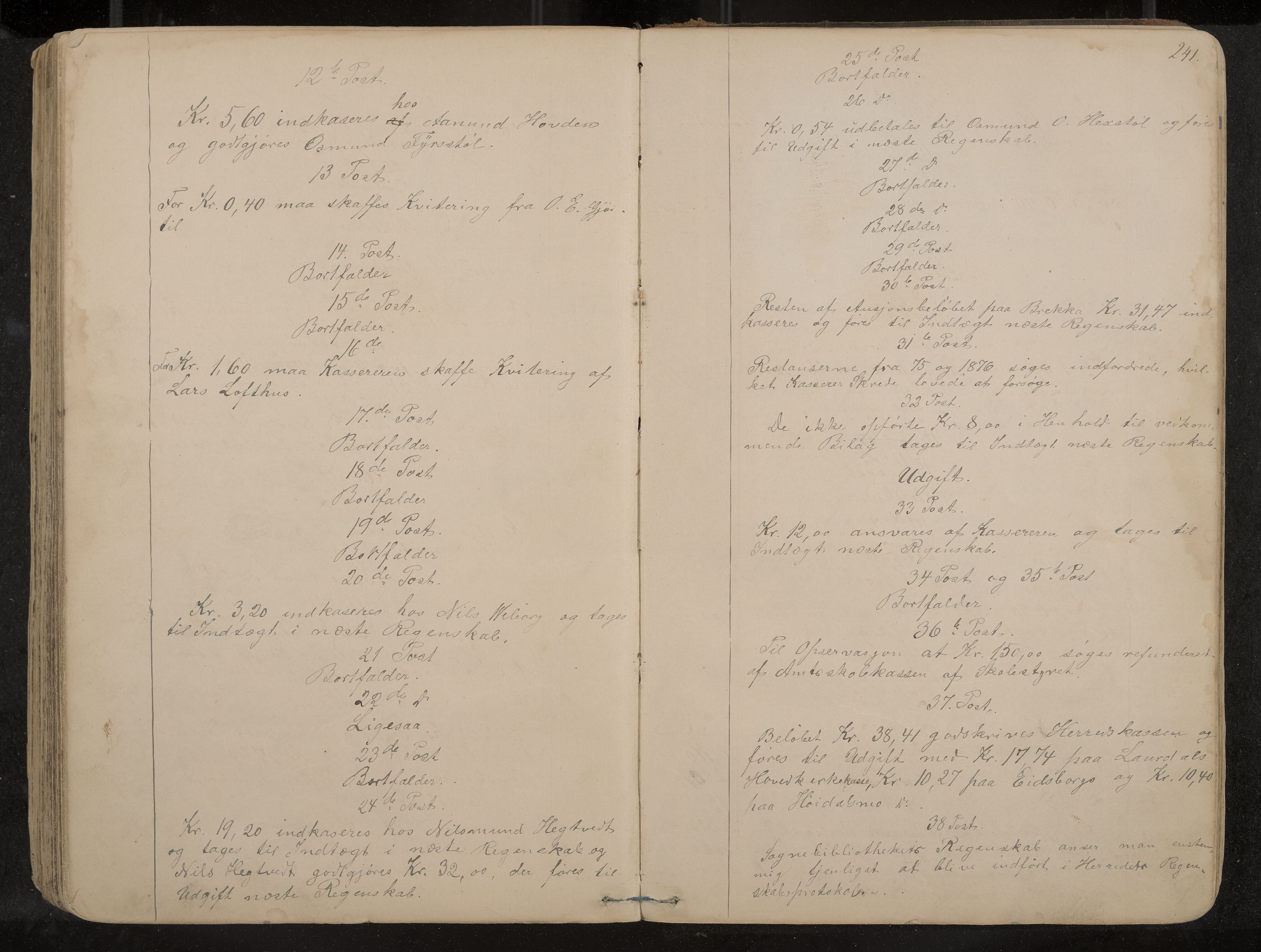 Lårdal formannskap og sentraladministrasjon, IKAK/0833021/A/L0002: Møtebok, 1865-1893, p. 241