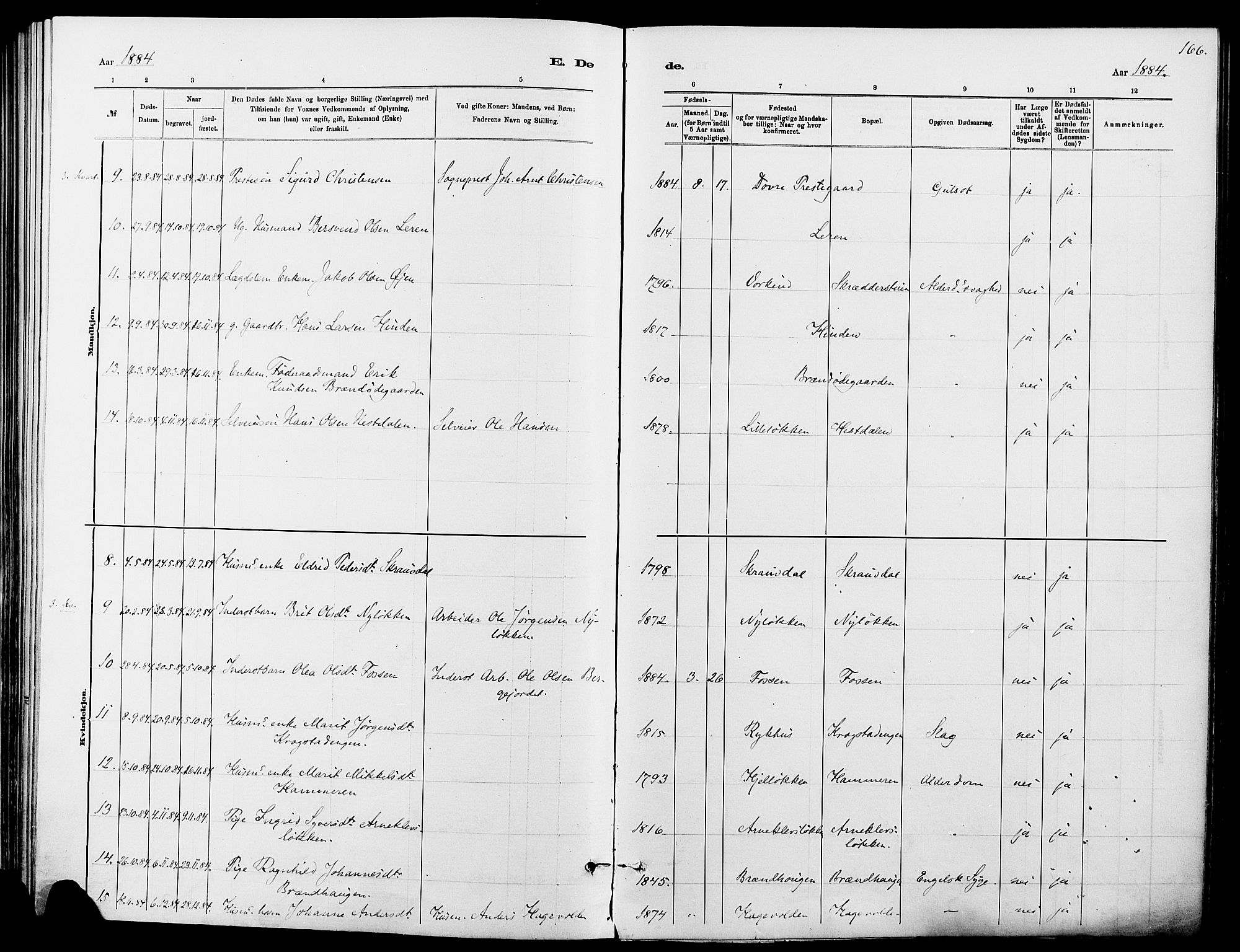 Dovre prestekontor, SAH/PREST-066/H/Ha/Haa/L0002: Parish register (official) no. 2, 1879-1890, p. 166