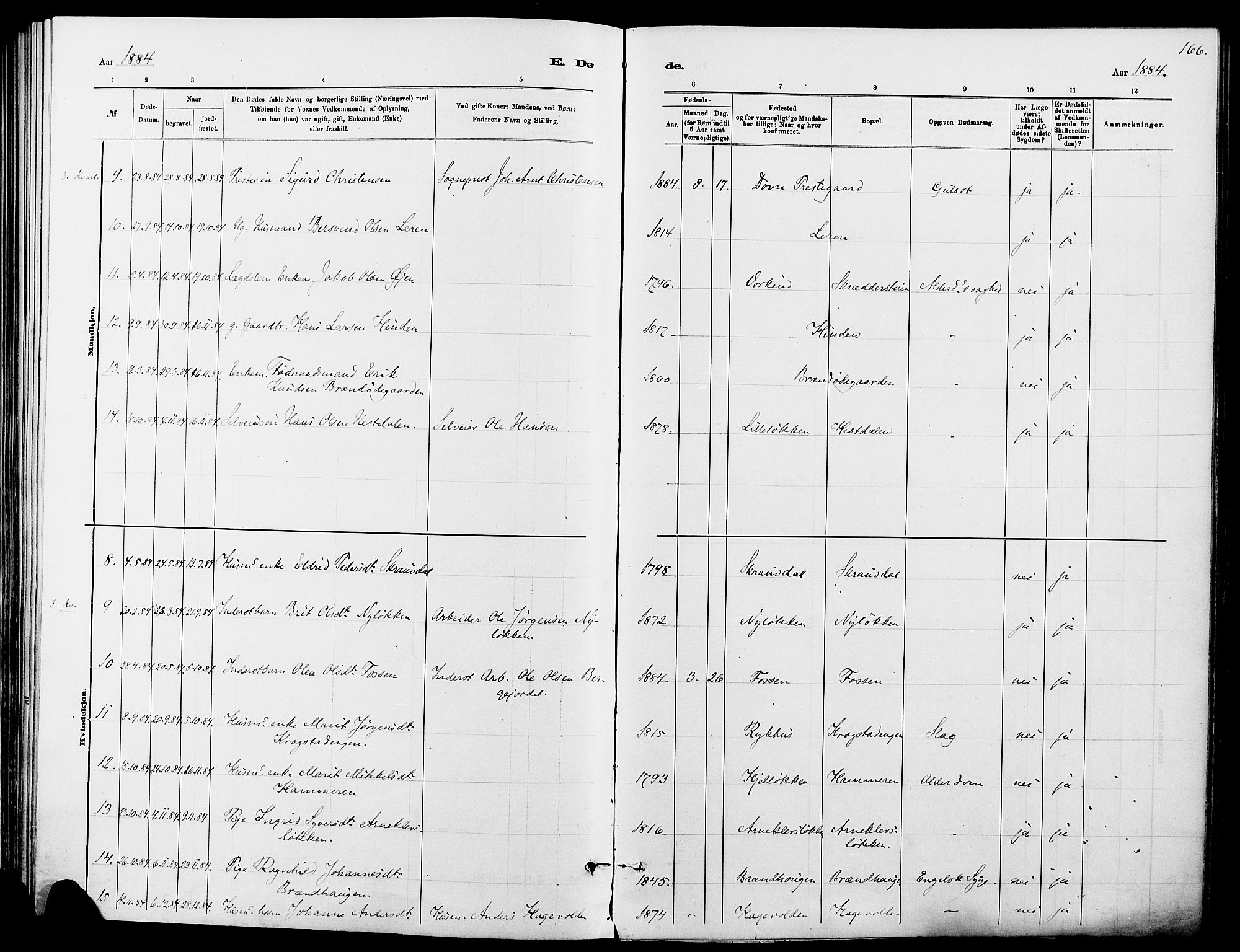 Dovre prestekontor, AV/SAH-PREST-066/H/Ha/Haa/L0002: Parish register (official) no. 2, 1879-1890, p. 166