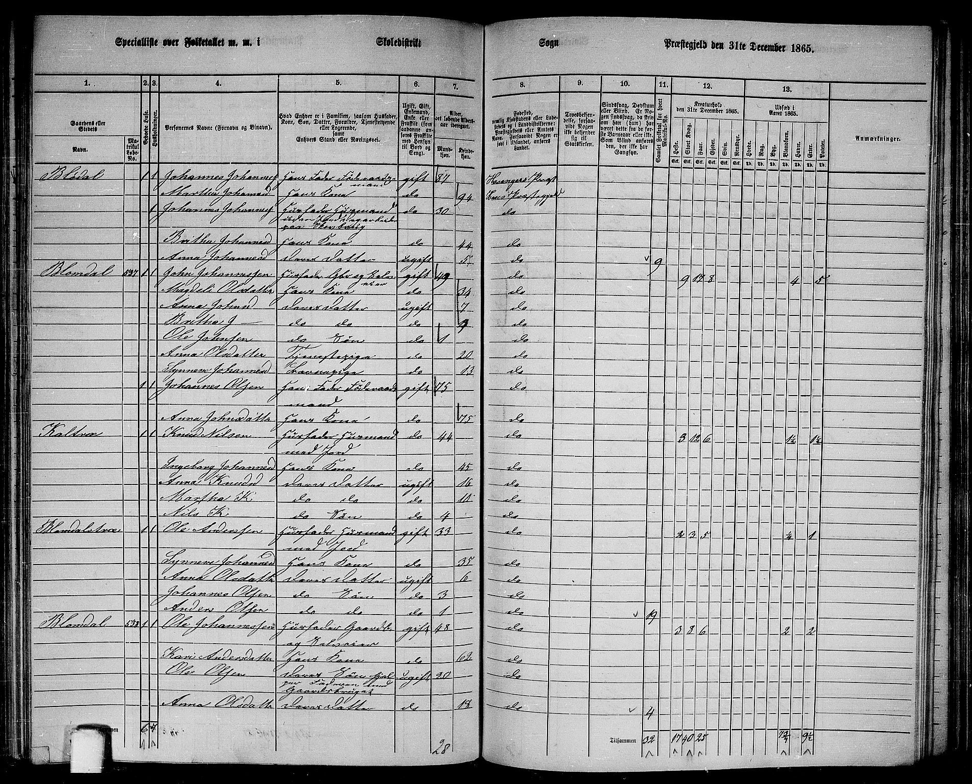 RA, 1865 census for Haus, 1865, p. 187