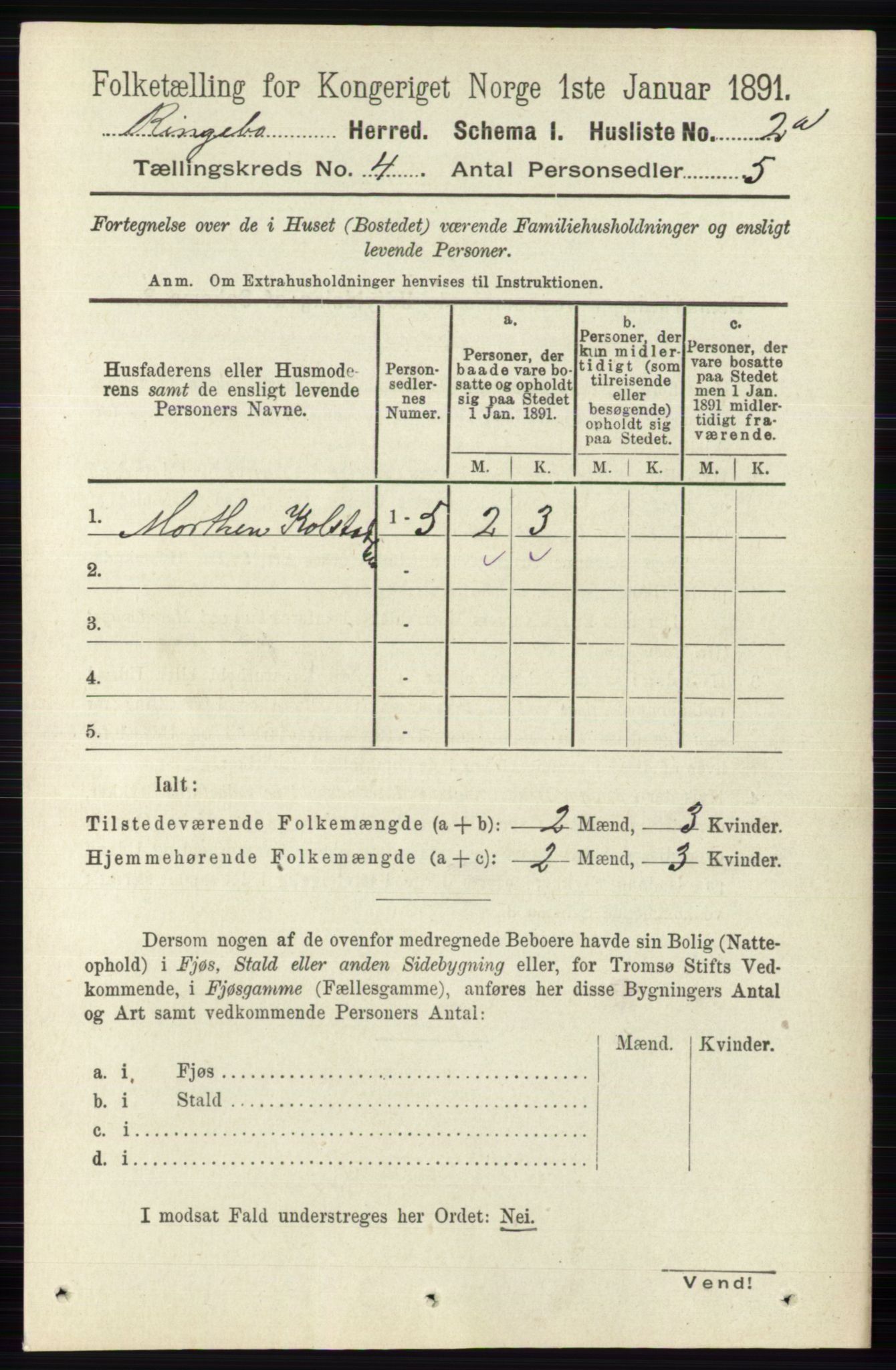 RA, 1891 census for 0520 Ringebu, 1891, p. 1261