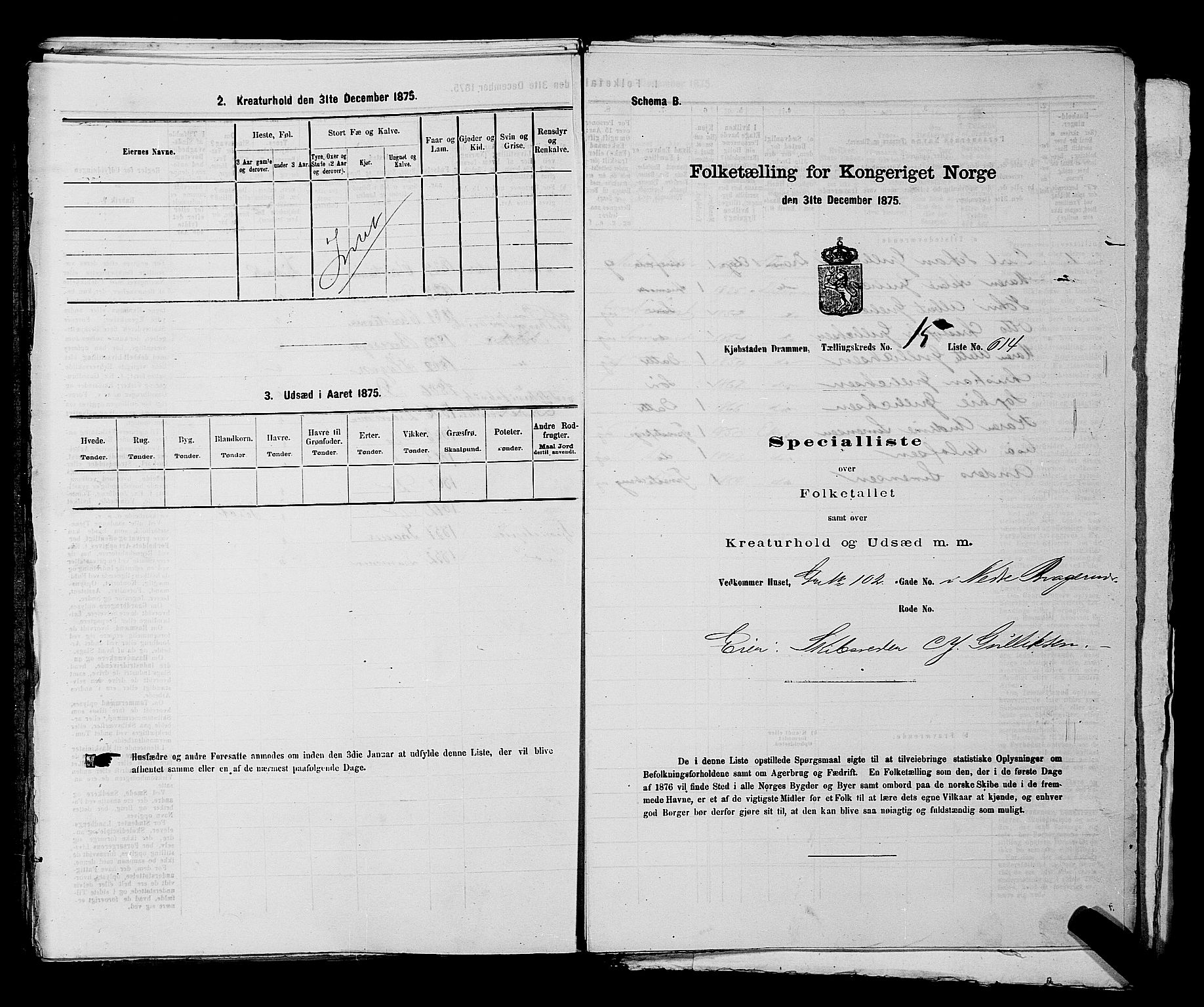SAKO, 1875 census for 0602 Drammen, 1875, p. 1743