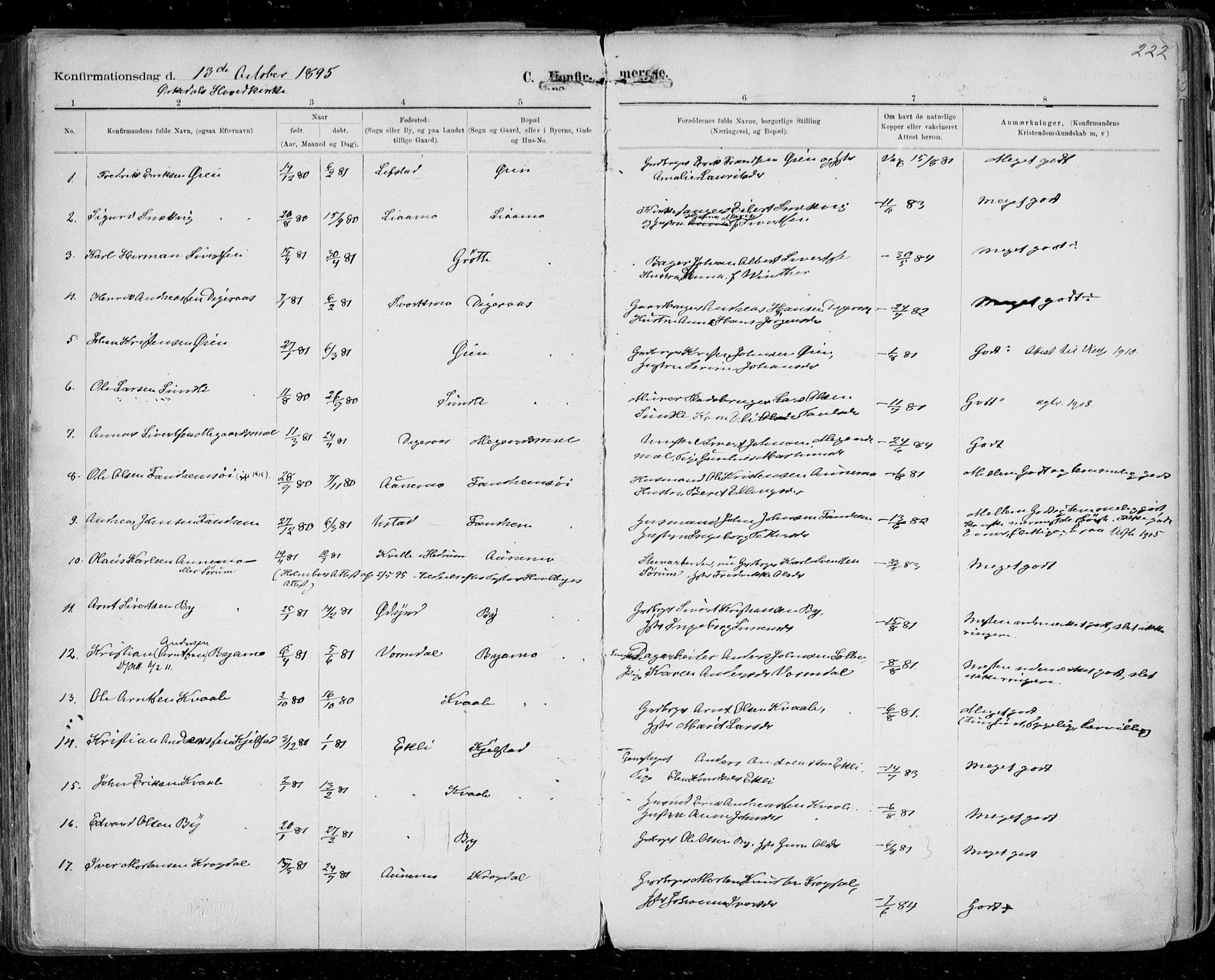 Ministerialprotokoller, klokkerbøker og fødselsregistre - Sør-Trøndelag, SAT/A-1456/668/L0811: Parish register (official) no. 668A11, 1894-1913, p. 222