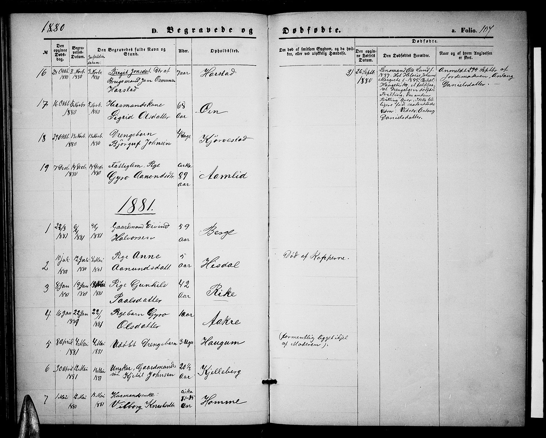 Valle sokneprestkontor, SAK/1111-0044/F/Fb/Fbc/L0003: Parish register (copy) no. B 3, 1871-1890, p. 107