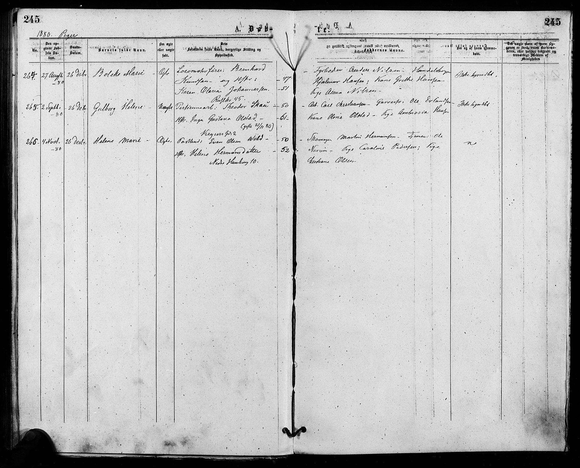 Trefoldighet prestekontor Kirkebøker, SAO/A-10882/F/Fa/L0004: Parish register (official) no. I 4, 1876-1880, p. 245
