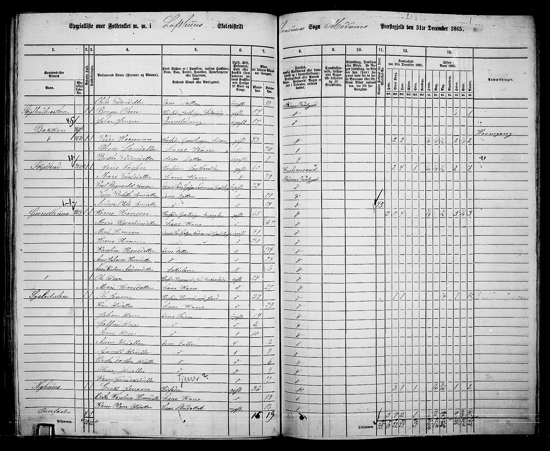 RA, 1865 census for Modum, 1865, p. 296