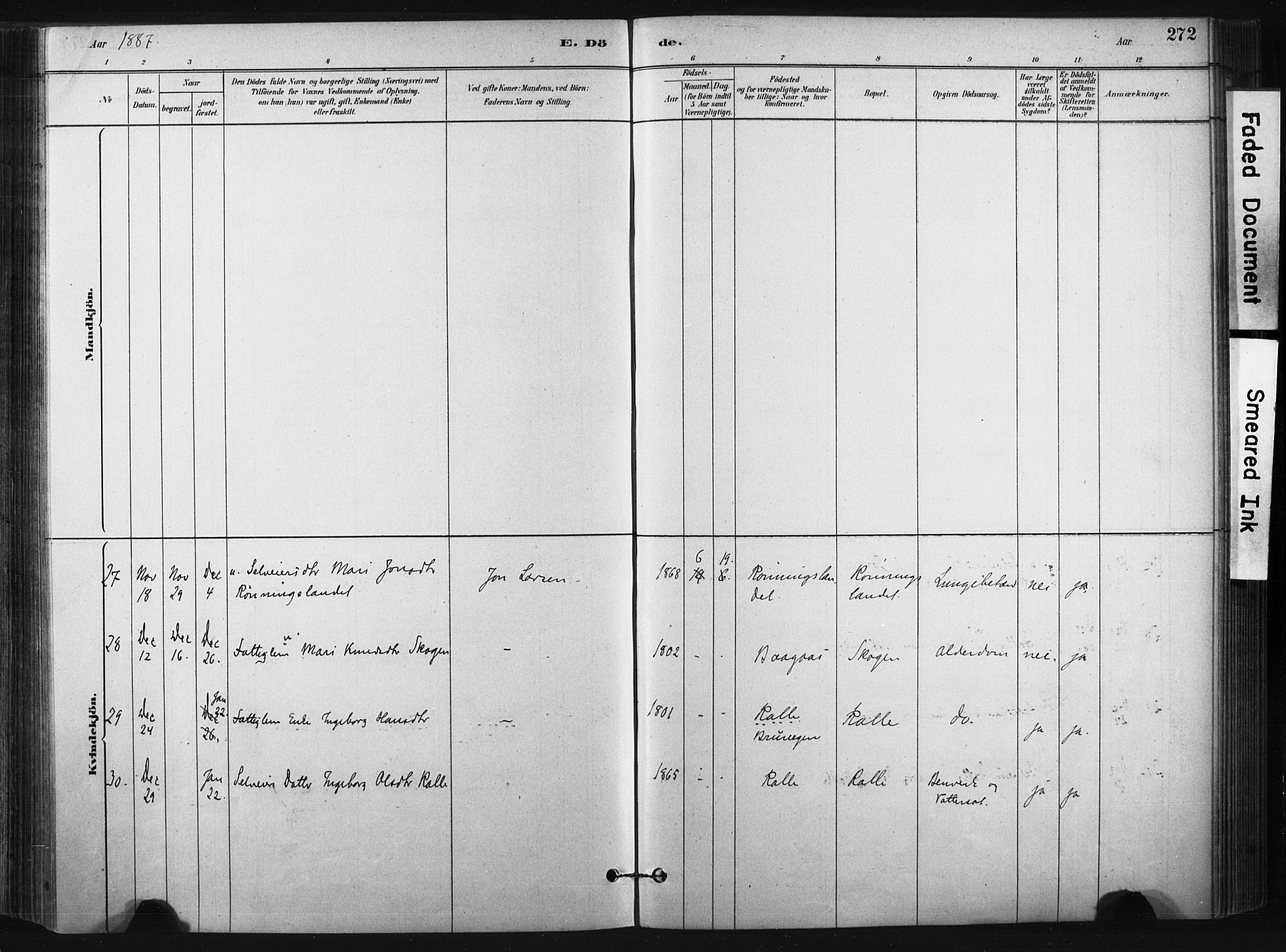 Bø kirkebøker, SAKO/A-257/F/Fa/L0010: Parish register (official) no. 10, 1880-1892, p. 272