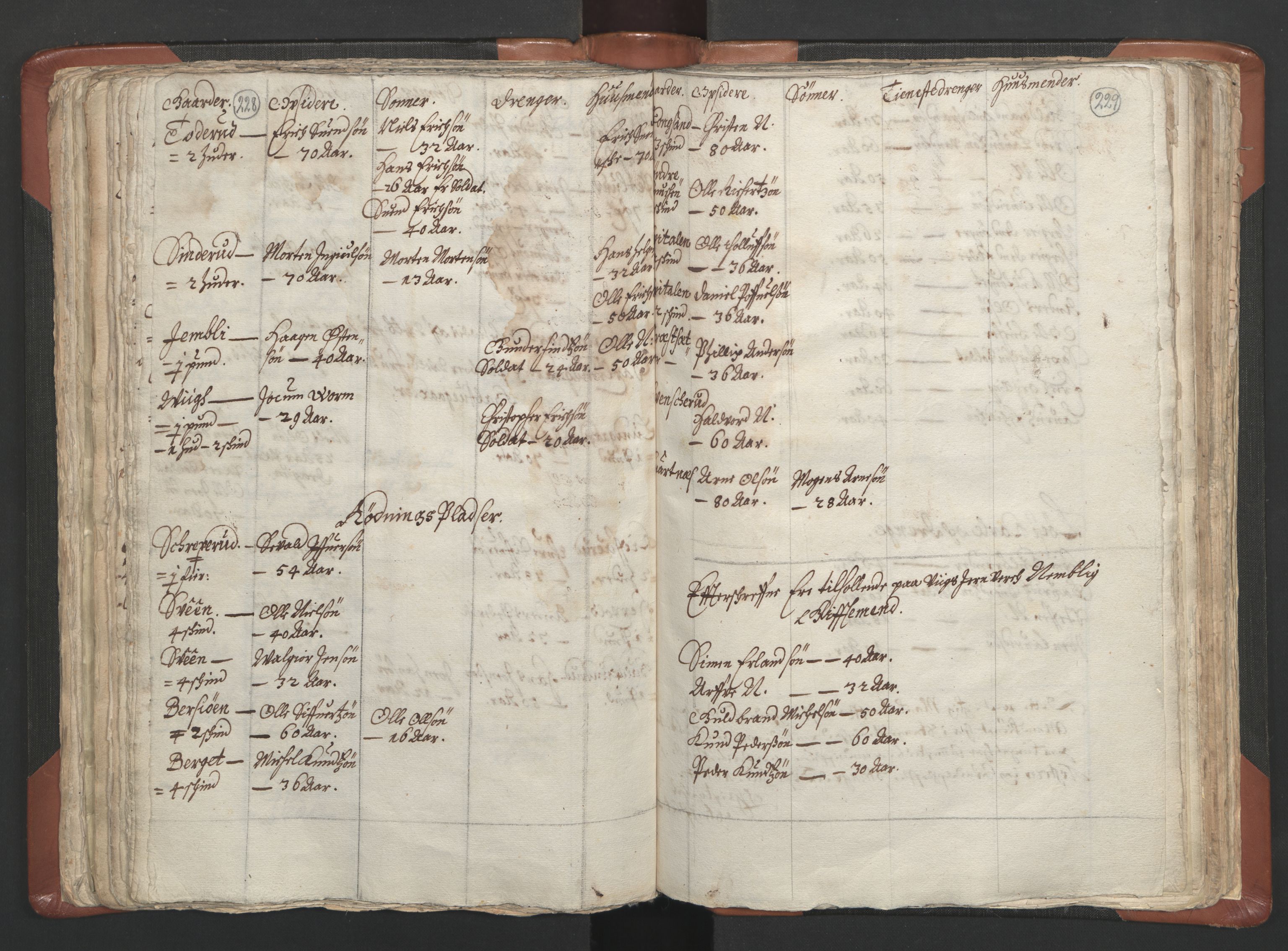 RA, Vicar's Census 1664-1666, no. 5: Hedmark deanery, 1664-1666, p. 228-229