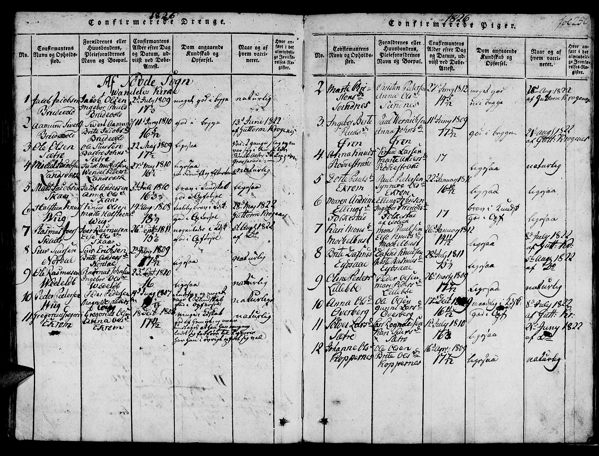 Ministerialprotokoller, klokkerbøker og fødselsregistre - Møre og Romsdal, AV/SAT-A-1454/501/L0004: Parish register (official) no. 501A04, 1816-1831, p. 250