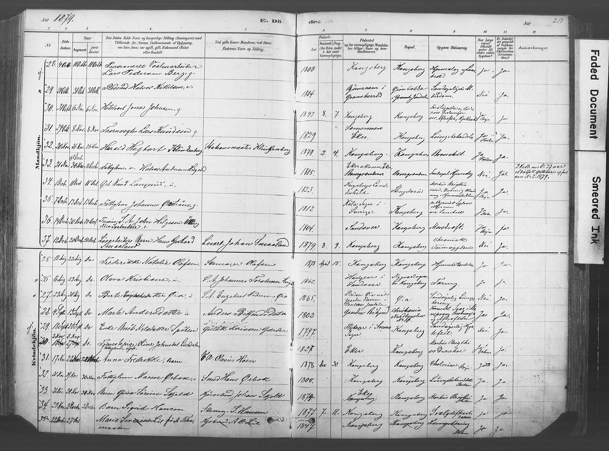 Kongsberg kirkebøker, AV/SAKO-A-22/F/Fb/L0001: Parish register (official) no. II 1, 1878-1886, p. 213