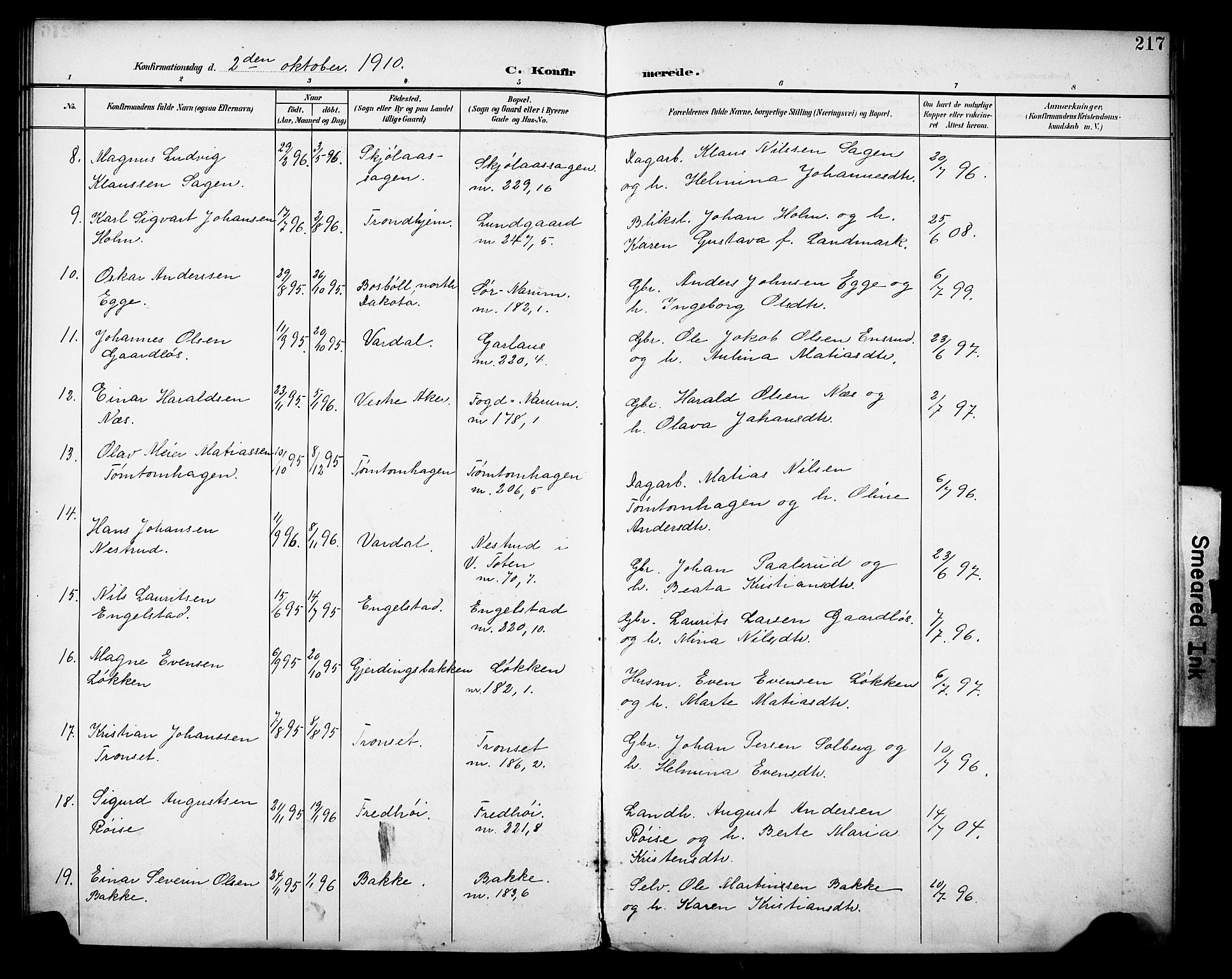 Vestre Toten prestekontor, SAH/PREST-108/H/Ha/Haa/L0013: Parish register (official) no. 13, 1895-1911, p. 217