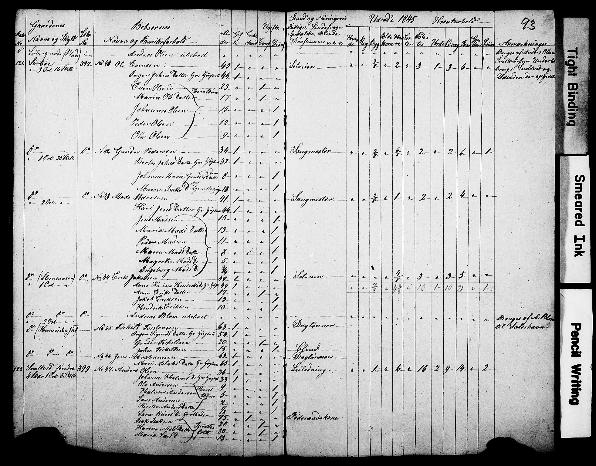 , Census 1845 for Gjerpen, 1845, p. 93