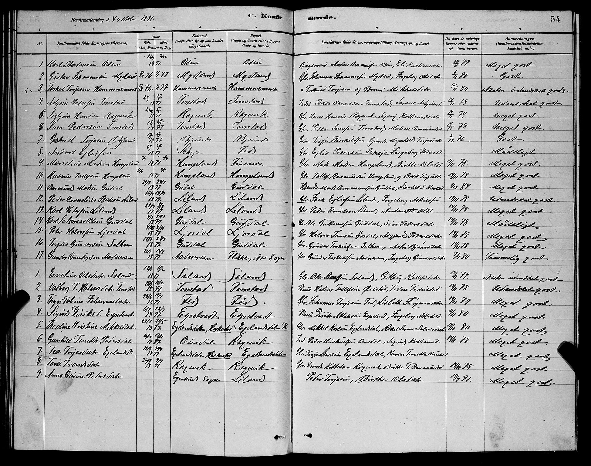 Sirdal sokneprestkontor, AV/SAK-1111-0036/F/Fb/Fbb/L0003: Parish register (copy) no. B 3, 1878-1894, p. 54