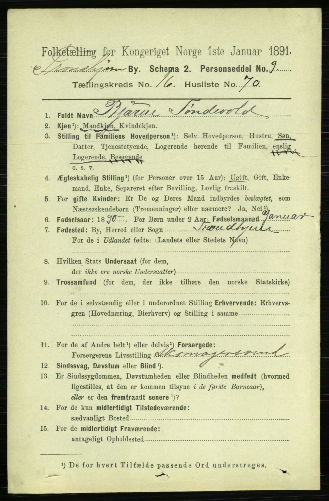 RA, 1891 census for 1601 Trondheim, 1891, p. 13204