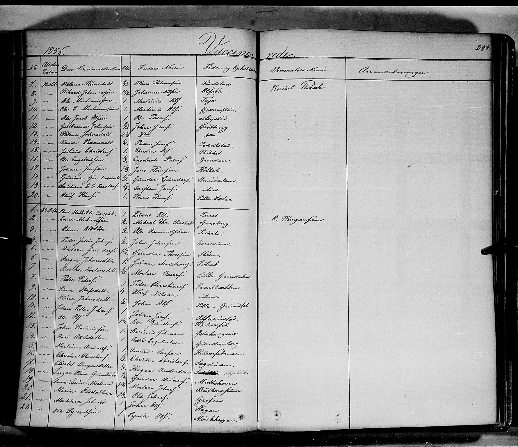 Elverum prestekontor, AV/SAH-PREST-044/H/Ha/Haa/L0009: Parish register (official) no. 9, 1843-1856, p. 293