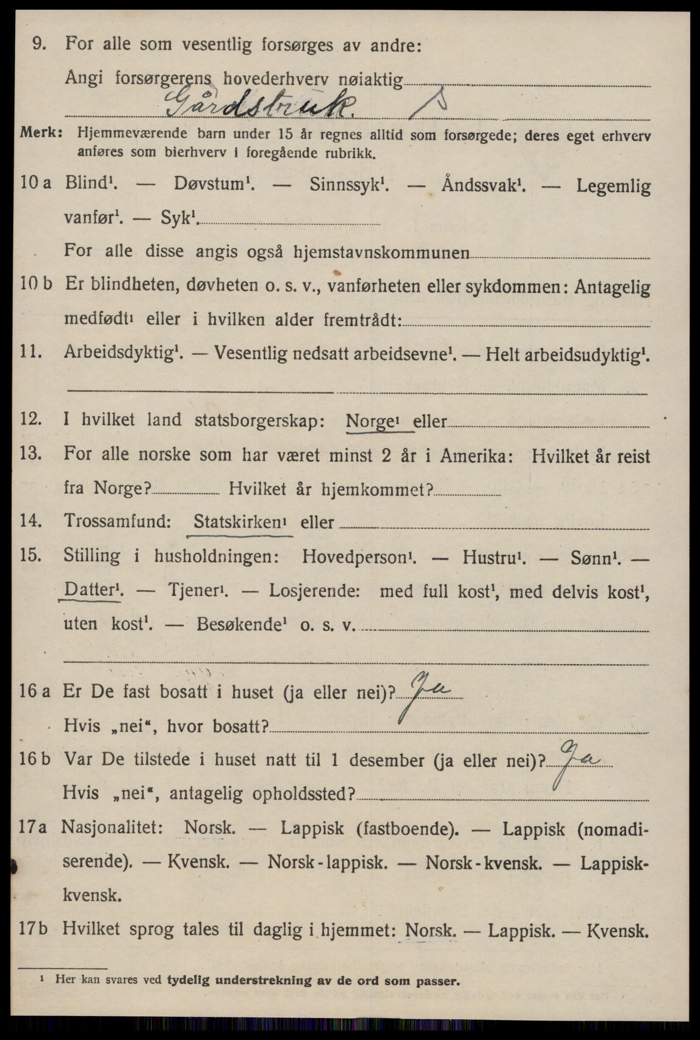 SAT, 1920 census for Hølonda, 1920, p. 408