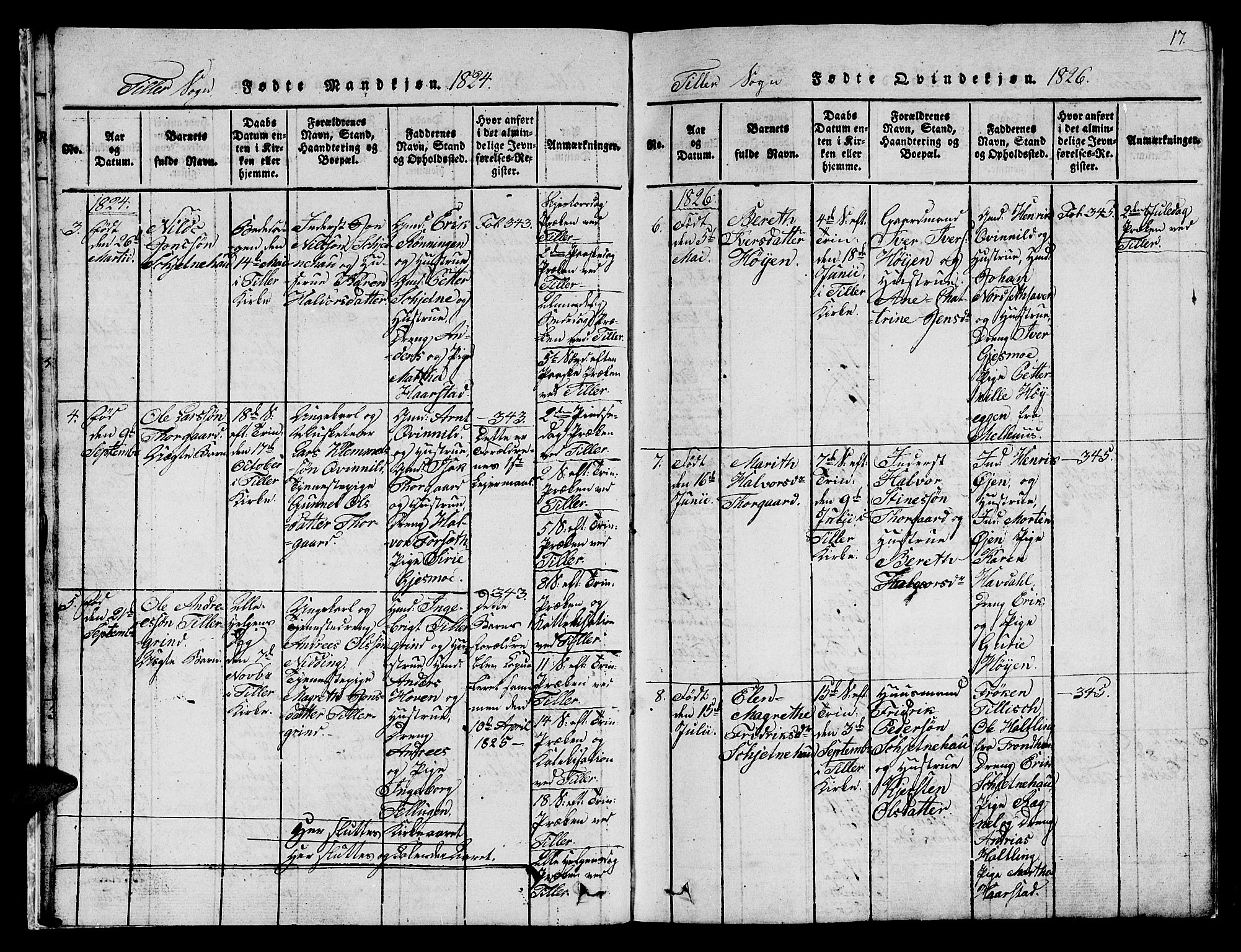 Ministerialprotokoller, klokkerbøker og fødselsregistre - Sør-Trøndelag, AV/SAT-A-1456/621/L0458: Parish register (copy) no. 621C01, 1816-1865, p. 17