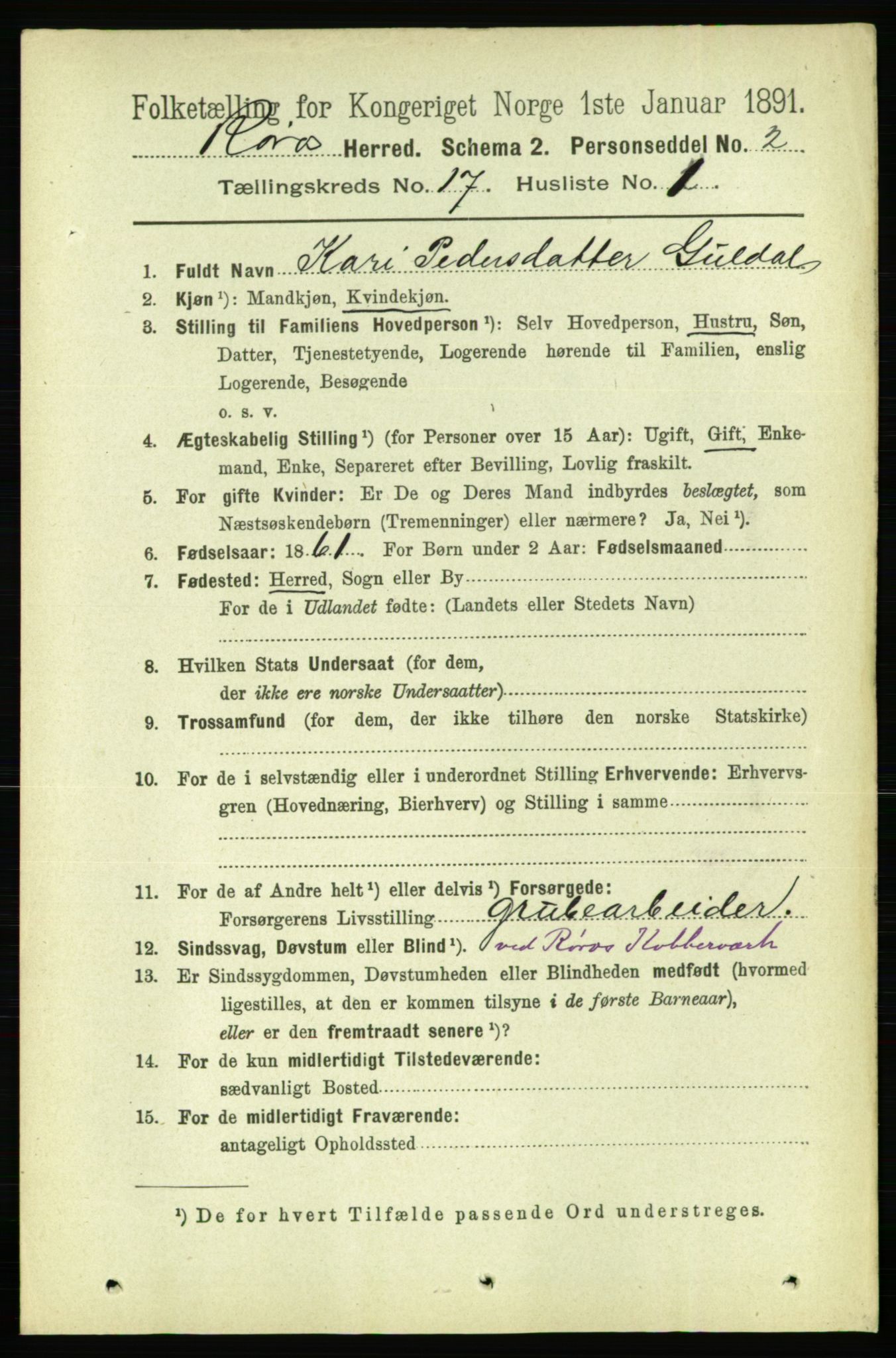 RA, 1891 census for 1640 Røros, 1891, p. 4343