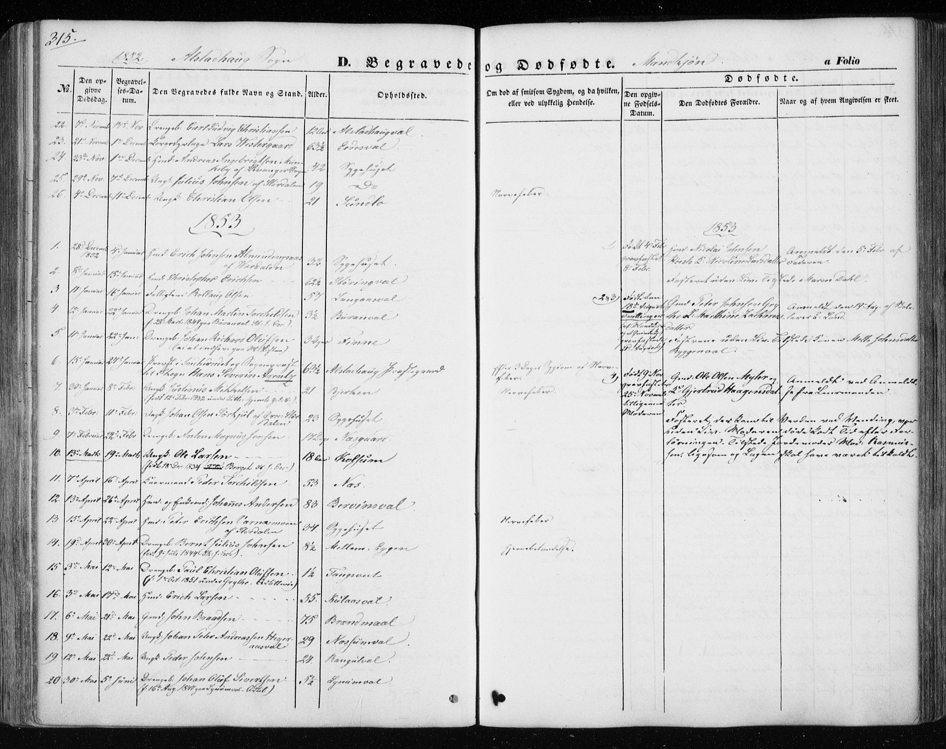 Ministerialprotokoller, klokkerbøker og fødselsregistre - Nord-Trøndelag, AV/SAT-A-1458/717/L0154: Parish register (official) no. 717A07 /1, 1850-1862, p. 315