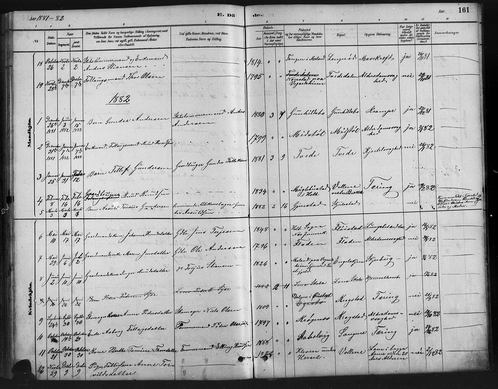 Austre Moland sokneprestkontor, AV/SAK-1111-0001/F/Fb/Fba/L0003: Parish register (copy) no. B 3, 1879-1914, p. 161