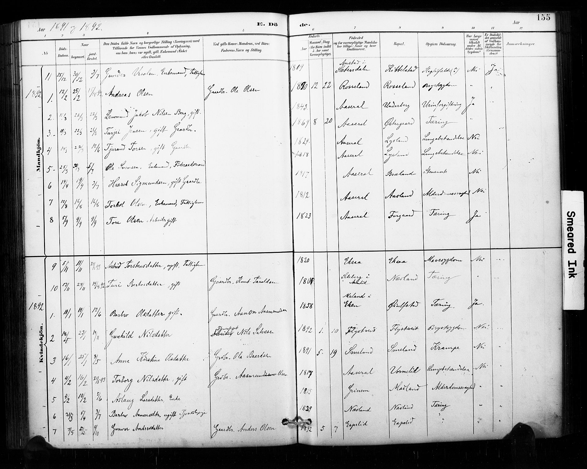 Åseral sokneprestkontor, AV/SAK-1111-0051/F/Fa/L0003: Parish register (official) no. A 3, 1884-1901, p. 155