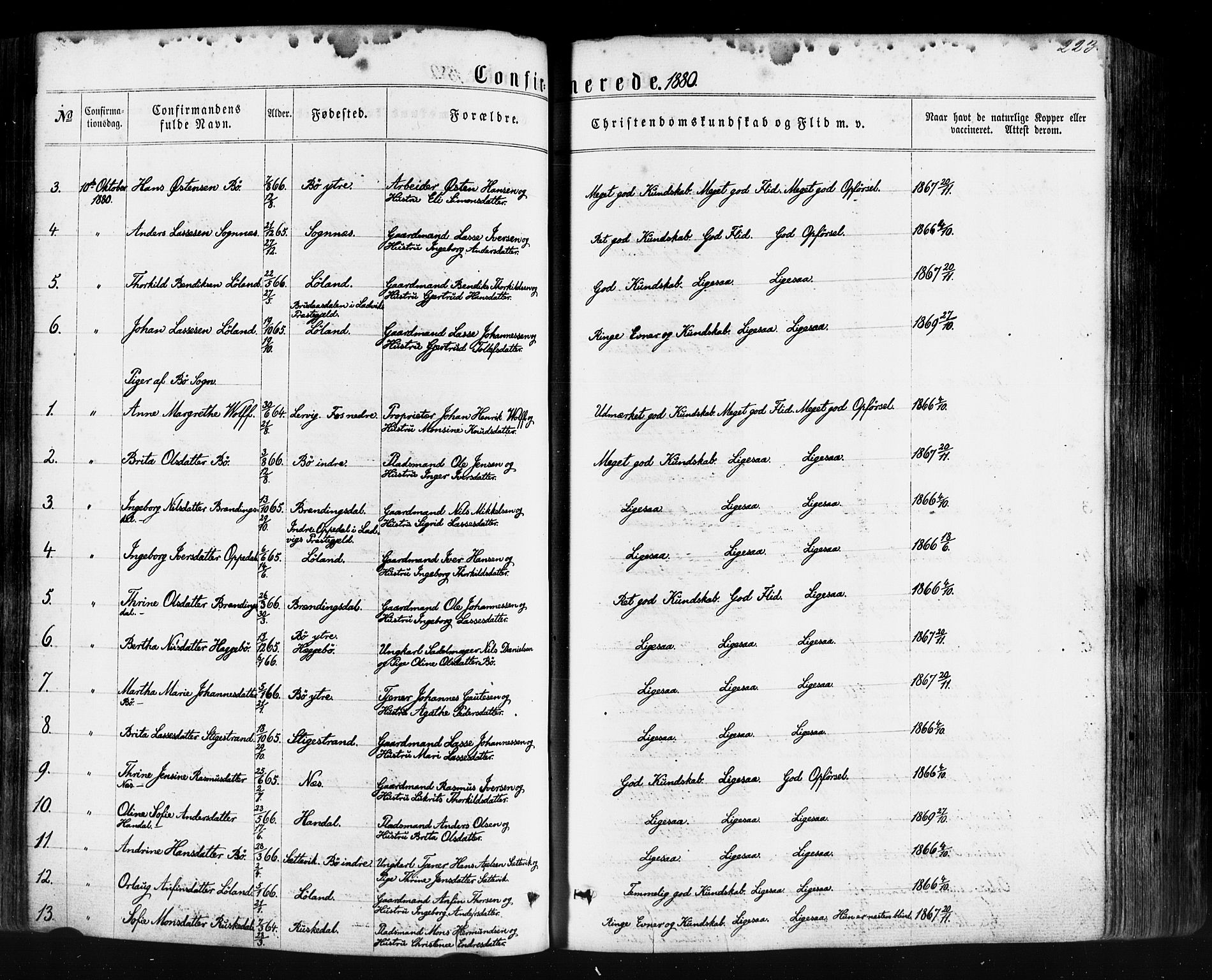 Hyllestad sokneprestembete, SAB/A-80401: Parish register (official) no. A 1, 1861-1886, p. 223