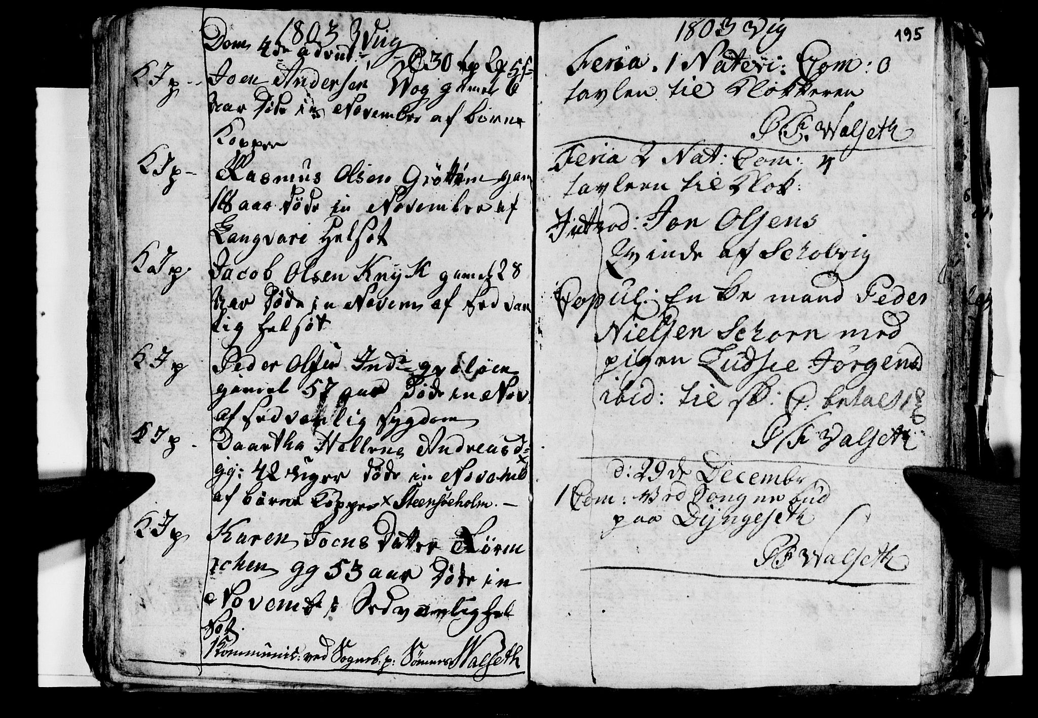 Ministerialprotokoller, klokkerbøker og fødselsregistre - Nordland, AV/SAT-A-1459/812/L0184: Parish register (copy) no. 812C02, 1793-1809, p. 195