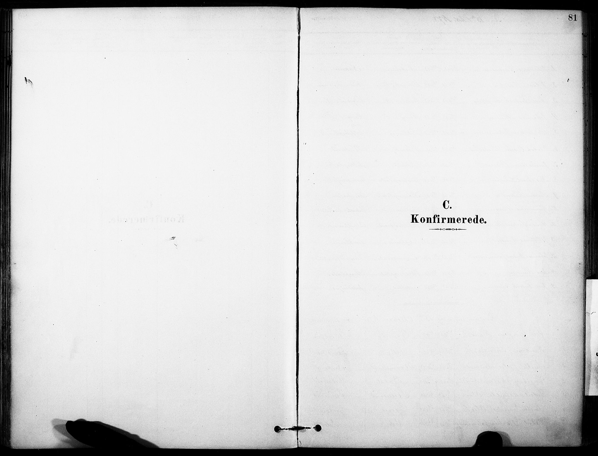Rakkestad prestekontor Kirkebøker, SAO/A-2008/F/Fb/L0001: Parish register (official) no. II 1, 1878-1899, p. 81