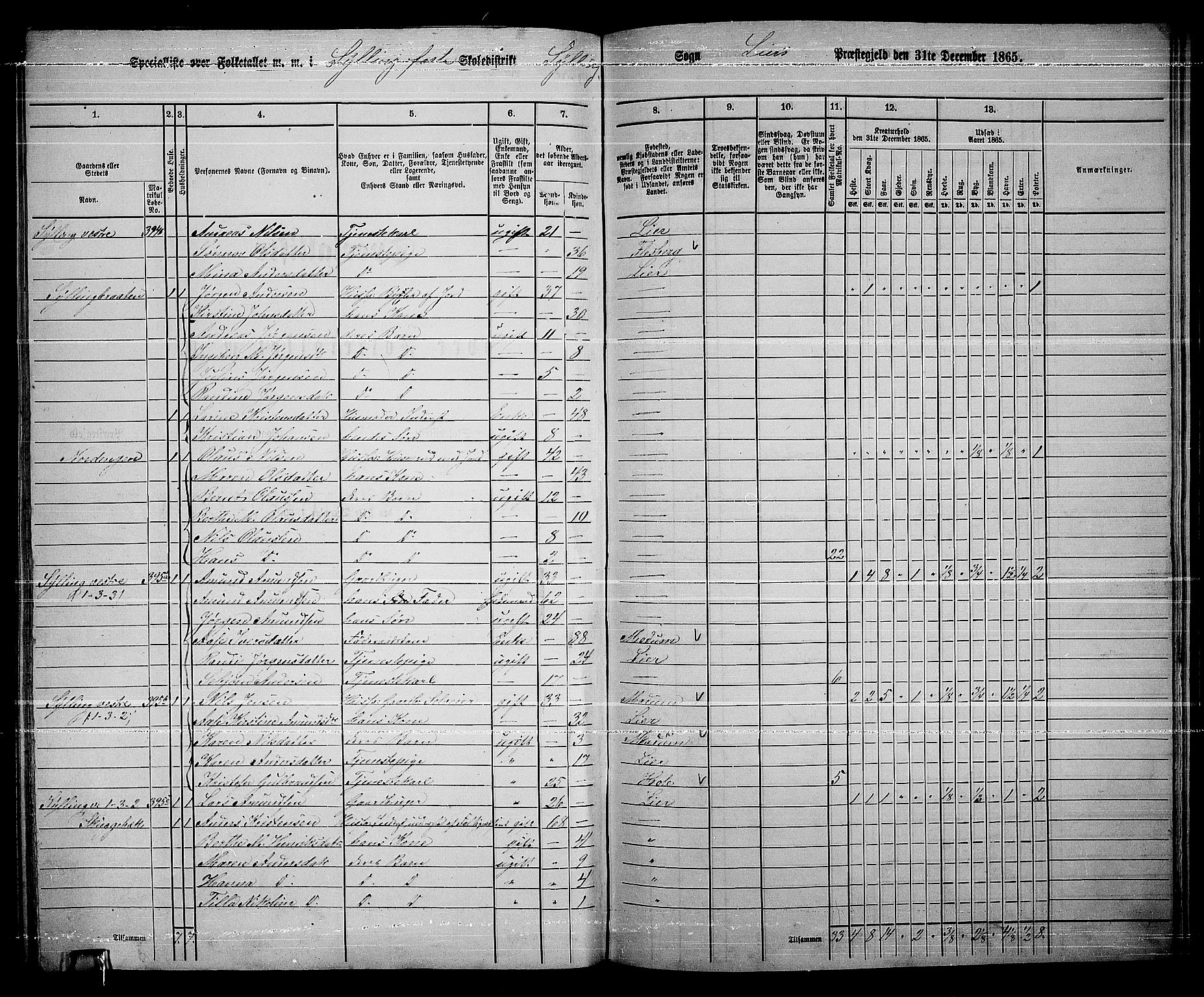 RA, 1865 census for Lier, 1865, p. 220