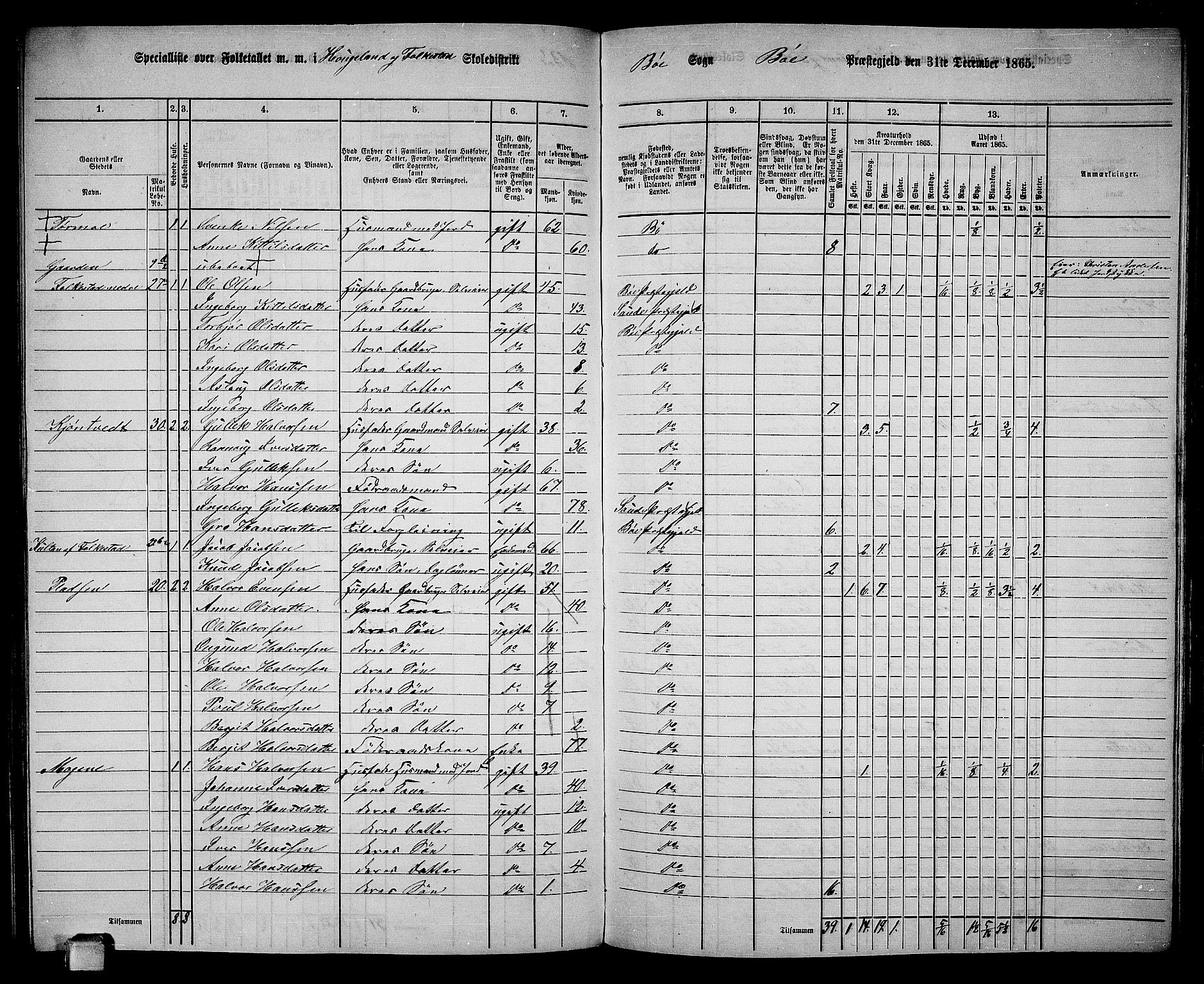 RA, 1865 census for Bø, 1865, p. 136