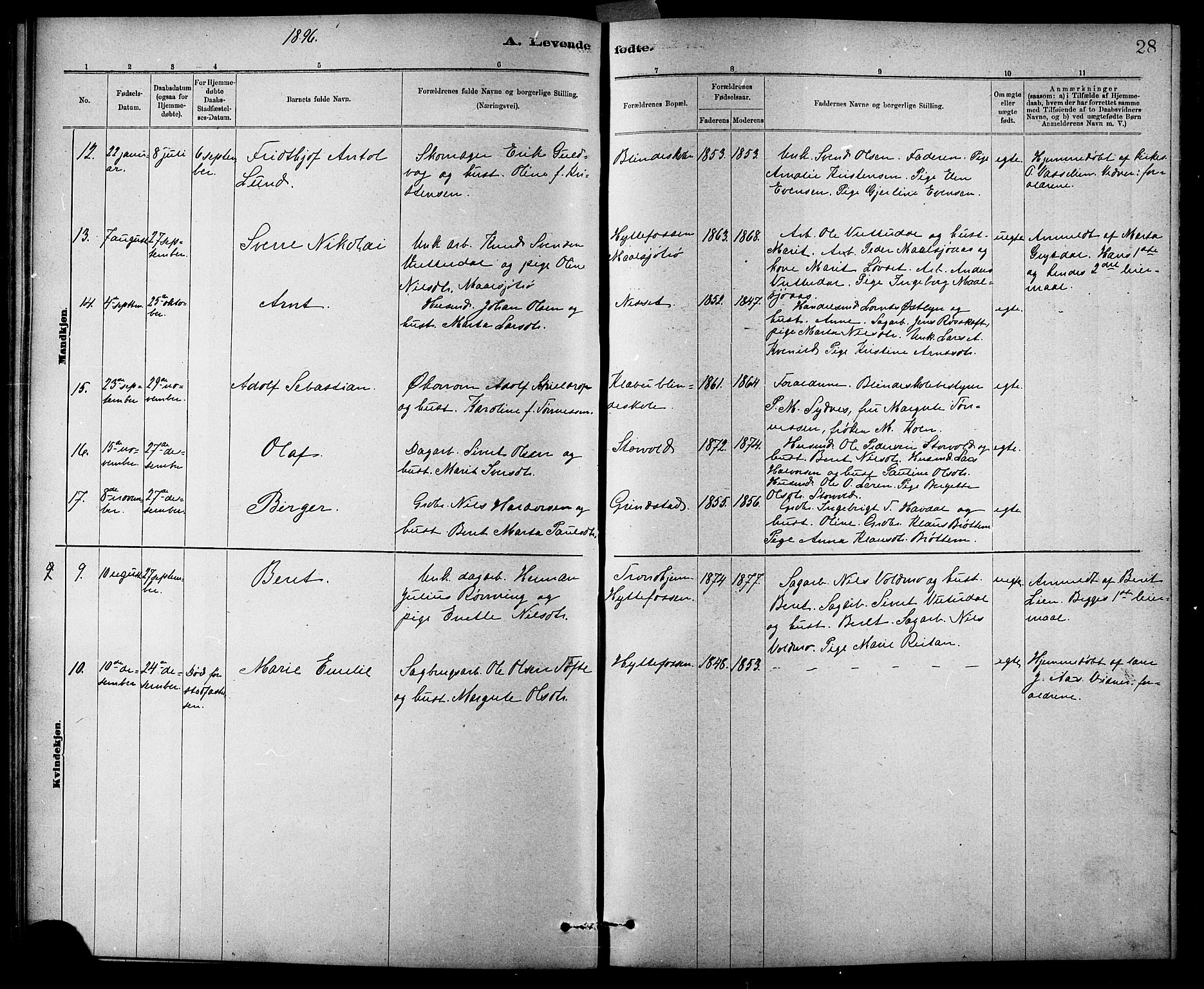 Ministerialprotokoller, klokkerbøker og fødselsregistre - Sør-Trøndelag, AV/SAT-A-1456/618/L0452: Parish register (copy) no. 618C03, 1884-1906, p. 28