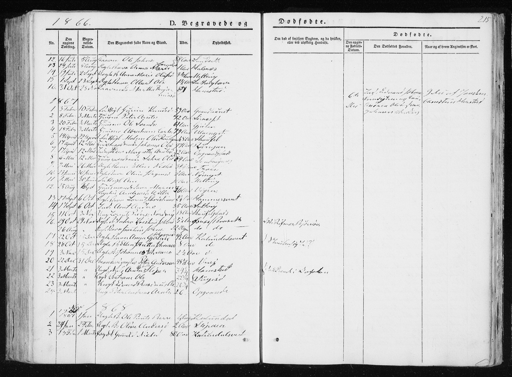 Ministerialprotokoller, klokkerbøker og fødselsregistre - Nord-Trøndelag, AV/SAT-A-1458/733/L0323: Parish register (official) no. 733A02, 1843-1870, p. 215