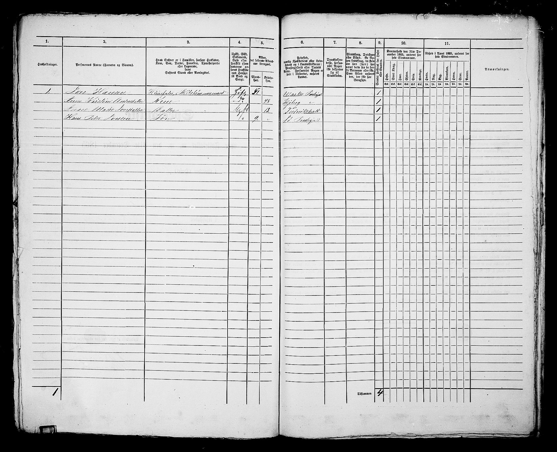 RA, 1865 census for Fredrikshald, 1865, p. 336