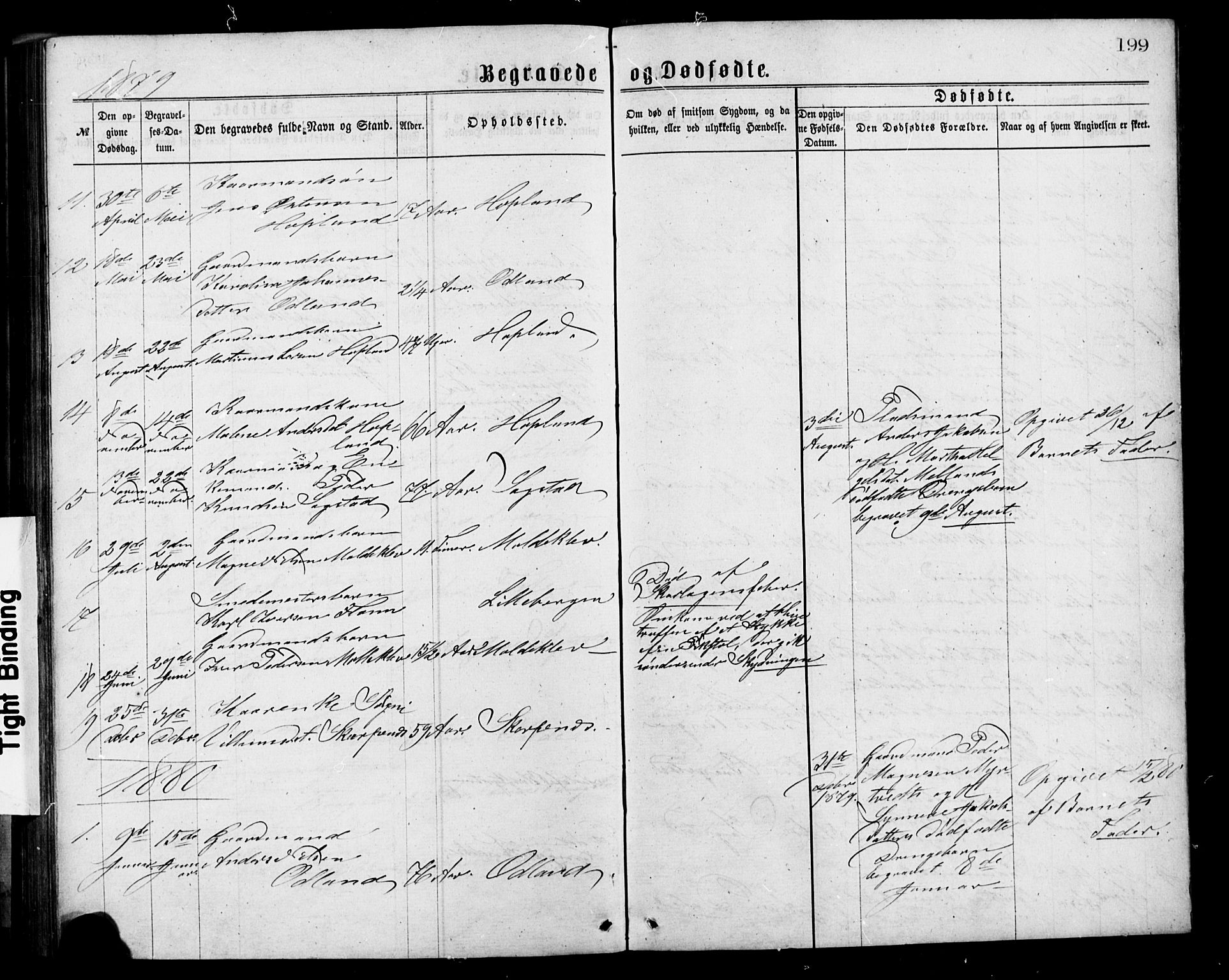 Alversund Sokneprestembete, SAB/A-73901/H/Ha/Hab: Parish register (copy) no. C 2, 1867-1880, p. 199
