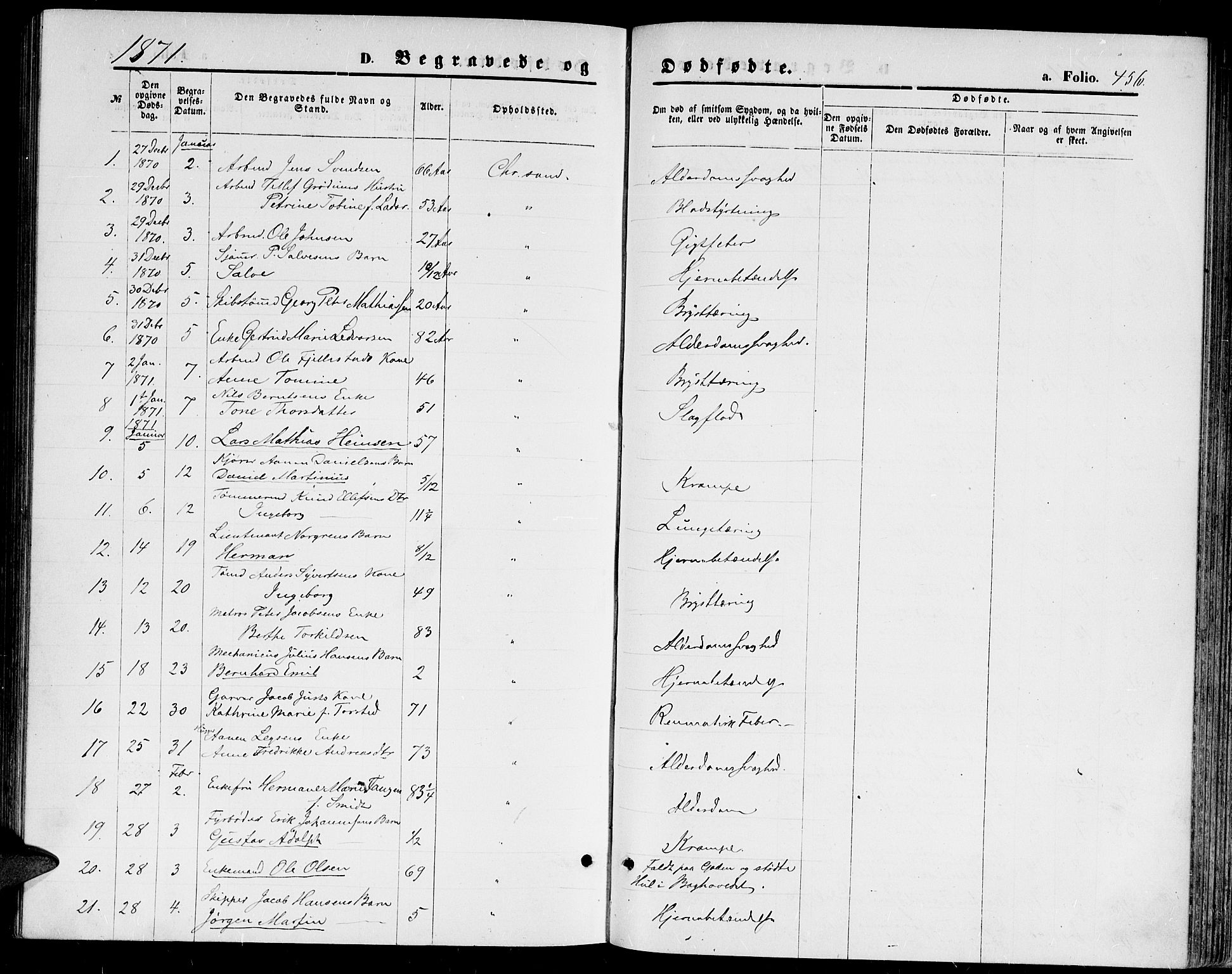 Kristiansand domprosti, SAK/1112-0006/F/Fb/L0013: Parish register (copy) no. B 13, 1871-1880, p. 456
