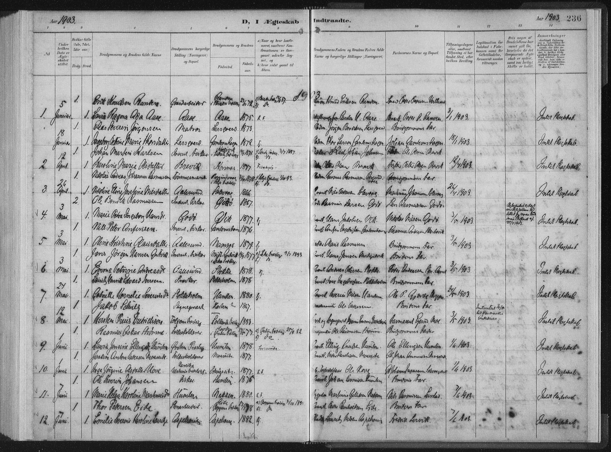 Ministerialprotokoller, klokkerbøker og fødselsregistre - Møre og Romsdal, AV/SAT-A-1454/528/L0405: Parish register (official) no. 528A14, 1891-1906, p. 236