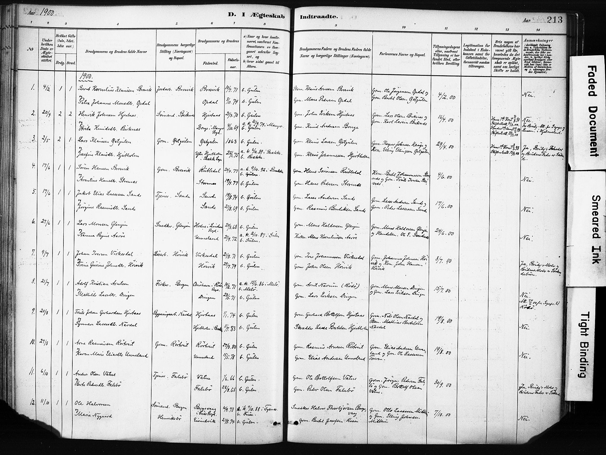 Gulen sokneprestembete, AV/SAB-A-80201/H/Haa/Haab/L0001: Parish register (official) no. B 1, 1881-1905, p. 213