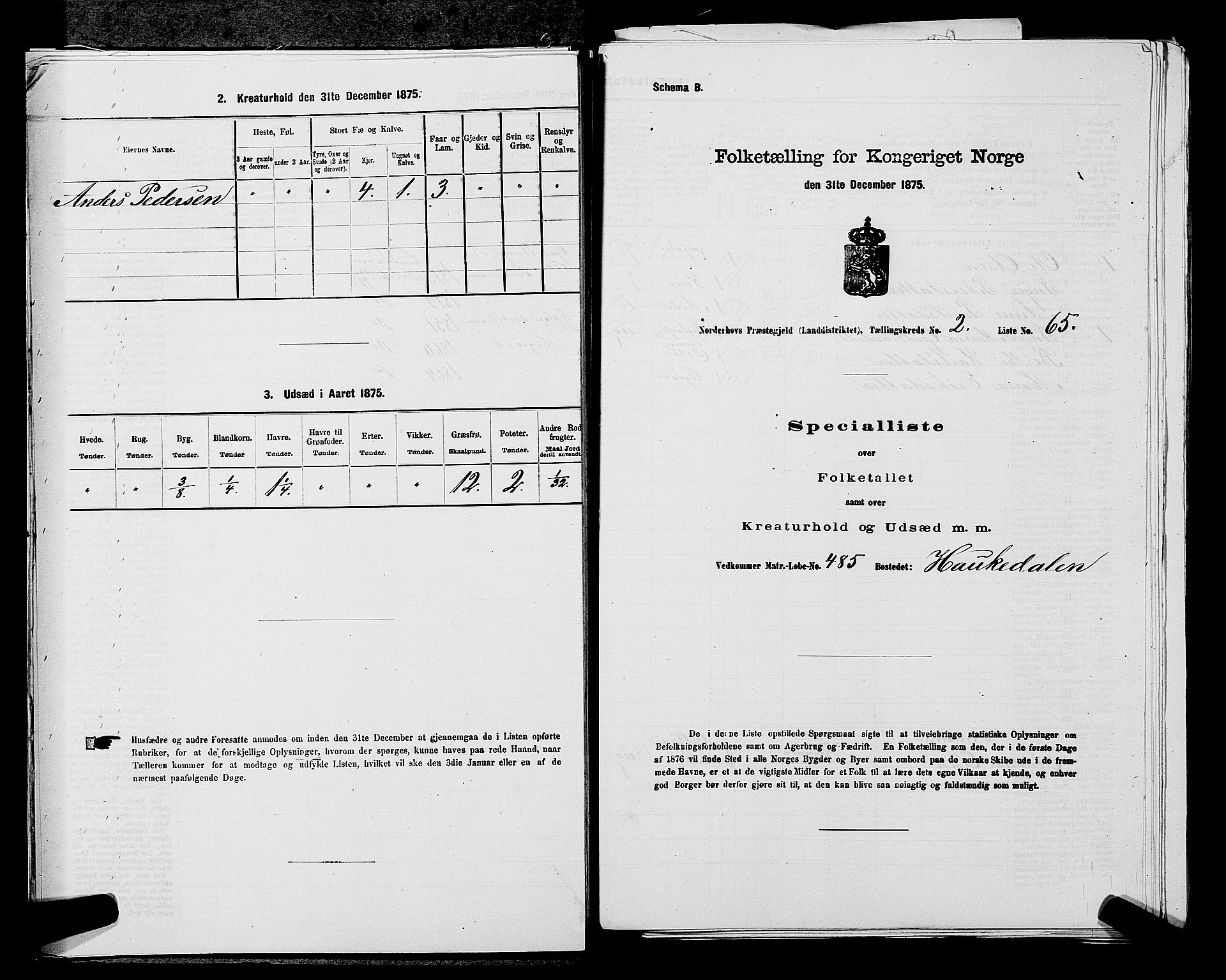 SAKO, 1875 census for 0613L Norderhov/Norderhov, Haug og Lunder, 1875, p. 2529